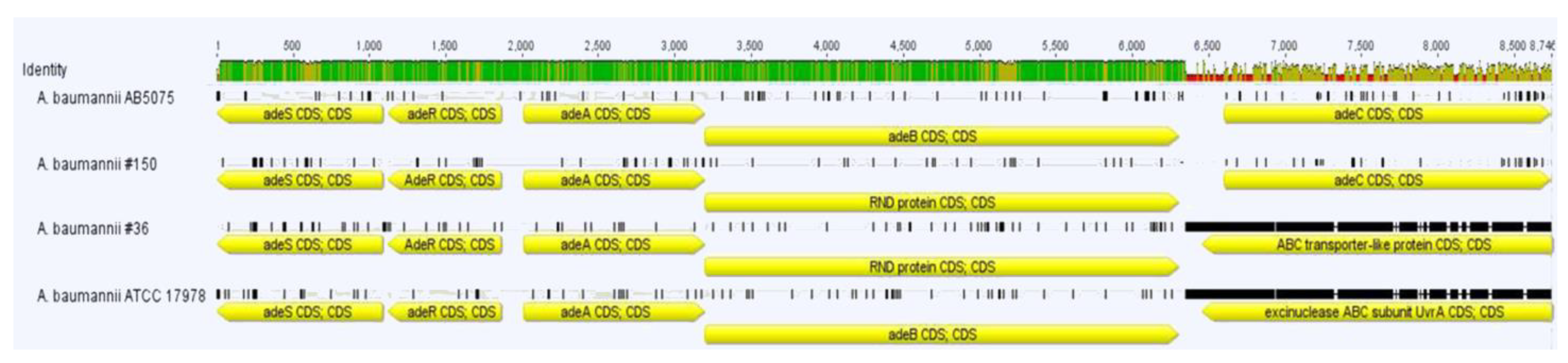 Ijerph 19 02870 g003