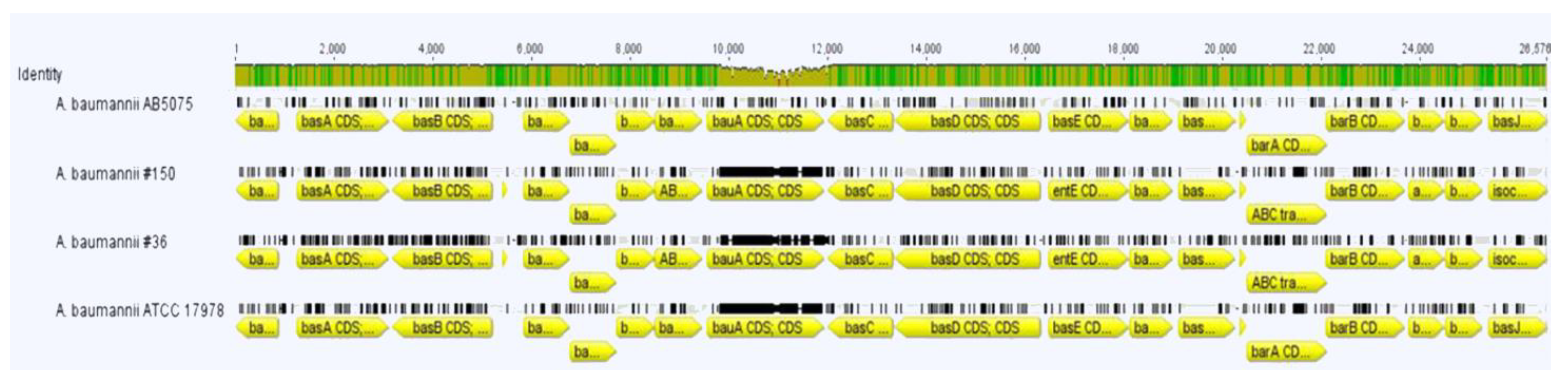 Ijerph 19 02870 g004