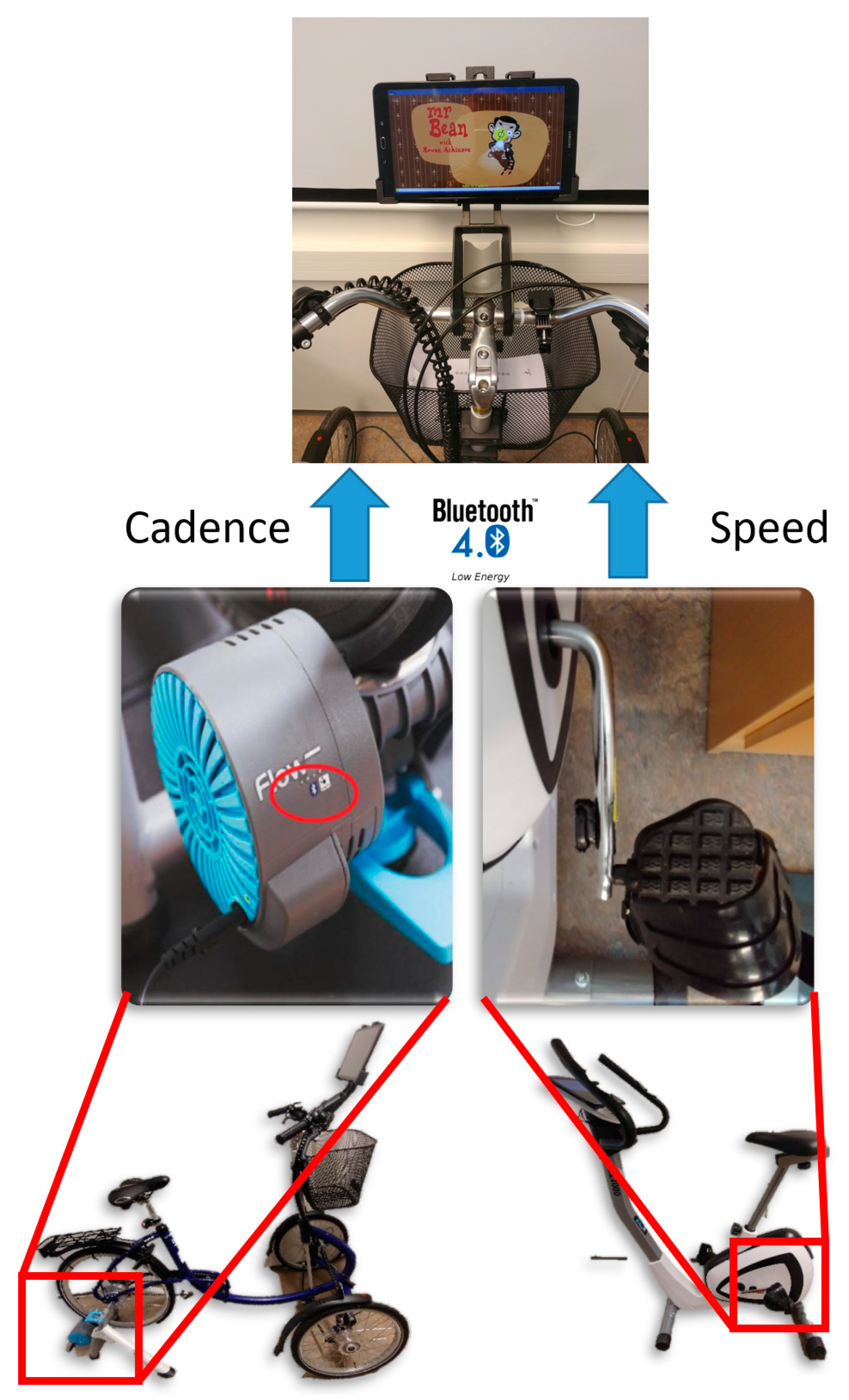 Ijerph 19 02914 g002 550