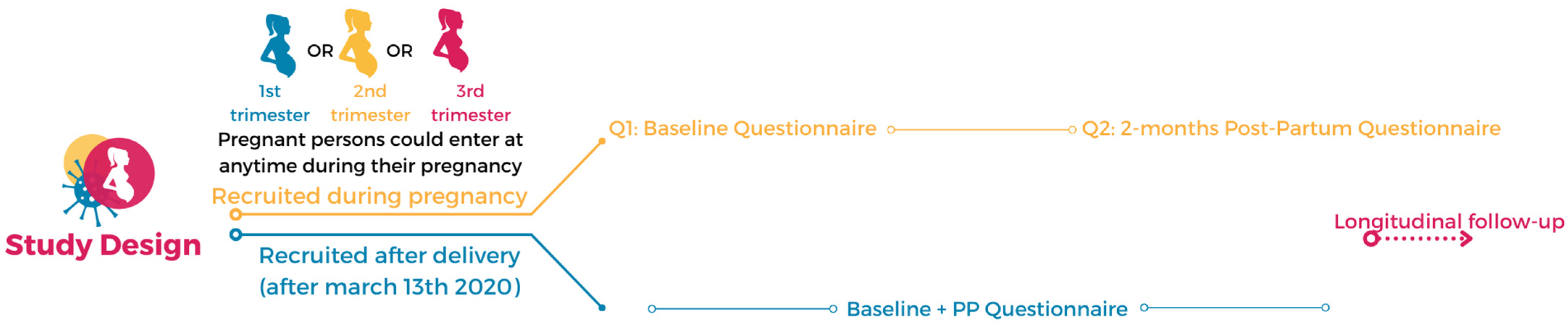 Ijerph 19 02926 g001 550