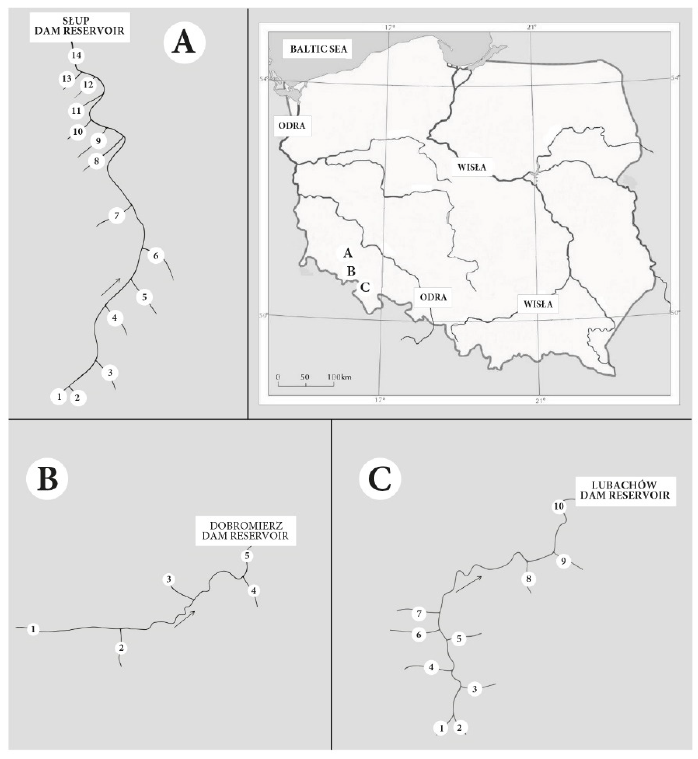 Ijerph 19 02930 g001 550