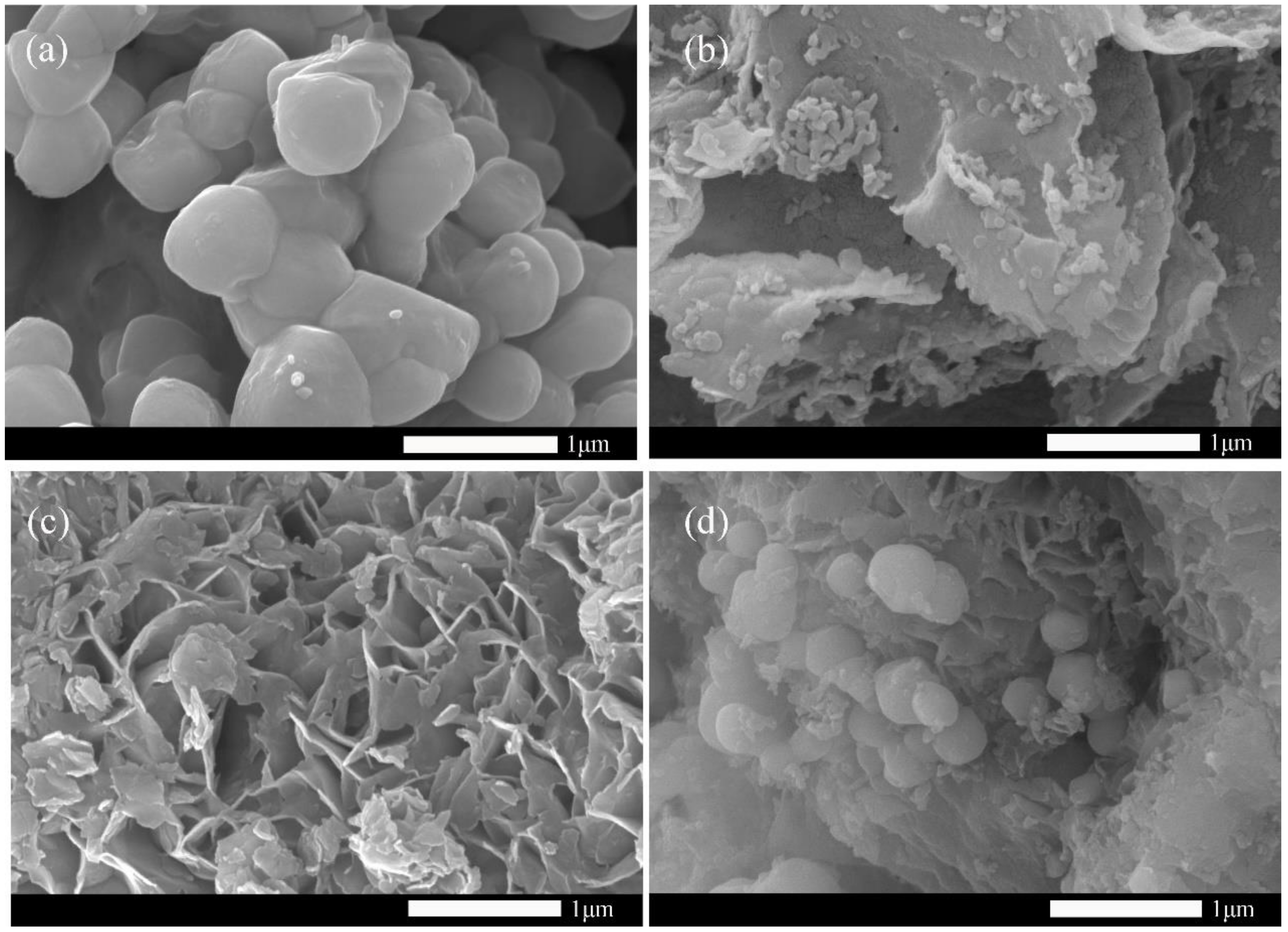 Ijerph 19 02934 g001