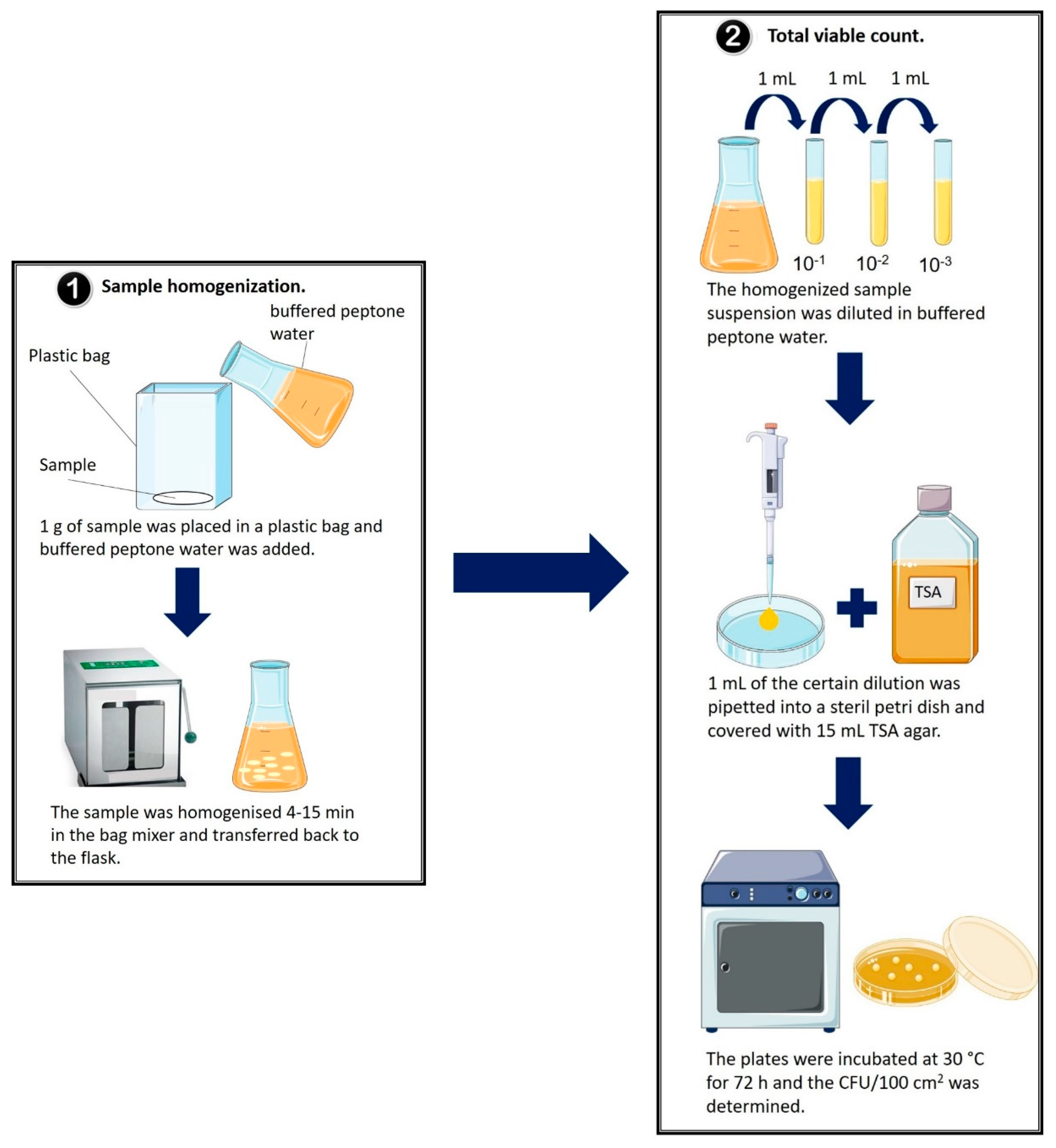 Ijerph 19 02996 g001 550