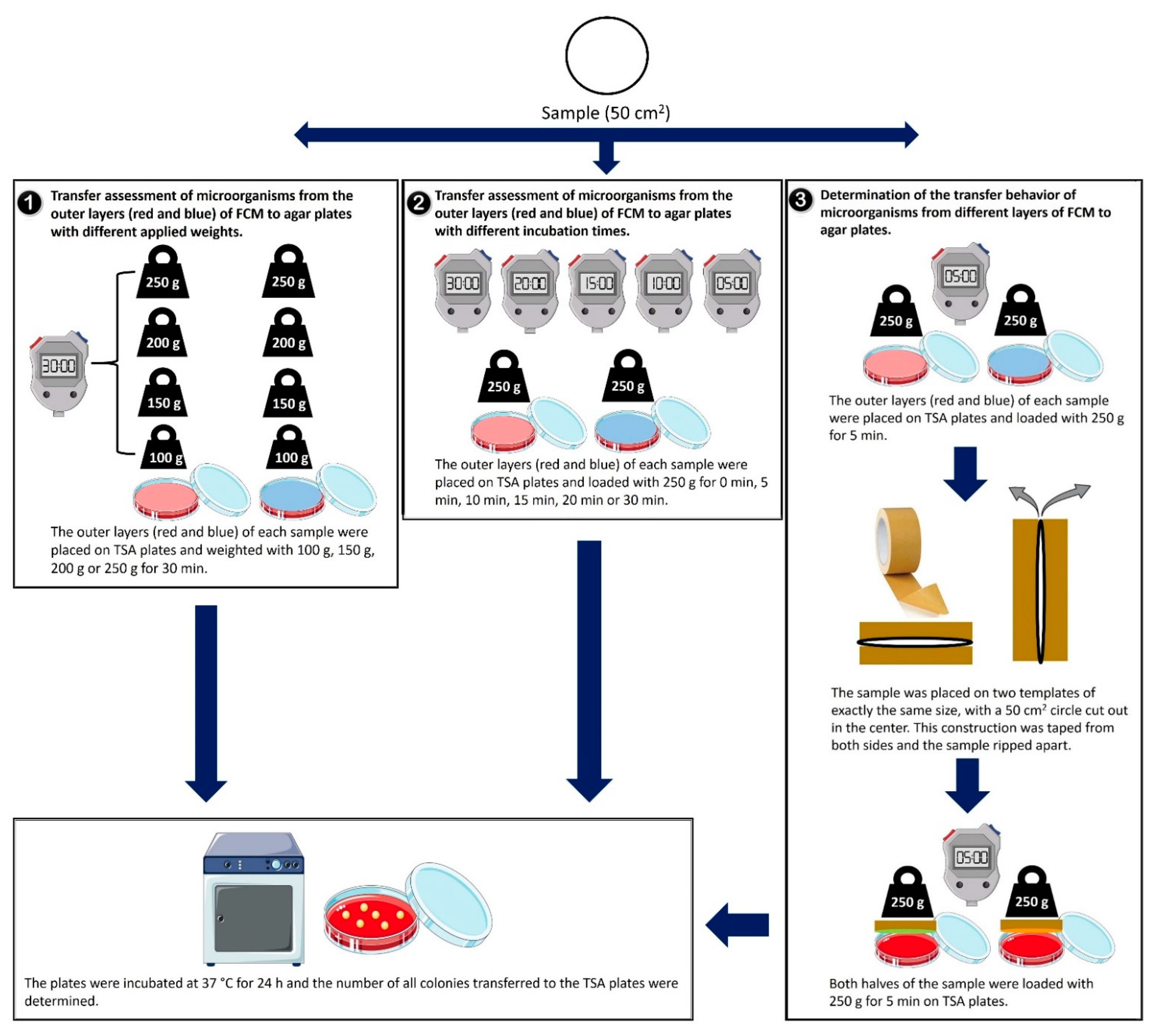 Ijerph 19 02996 g002 550
