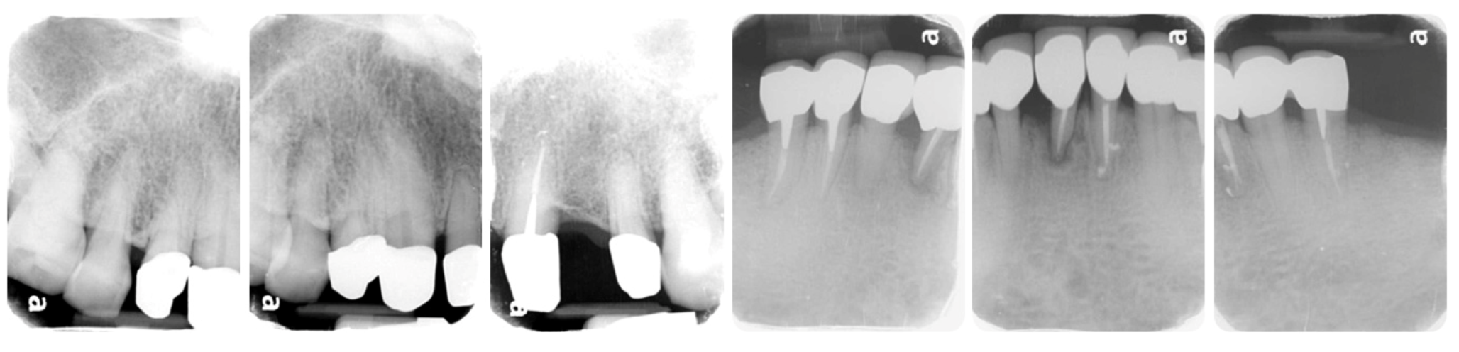 Ijerph 19 03021 g007 550