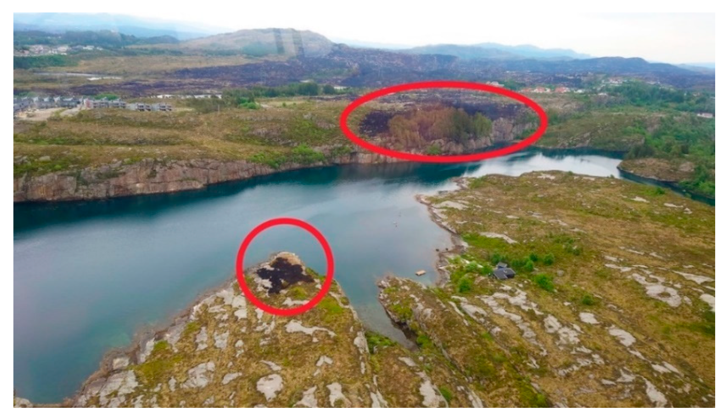 Ijerph 19 03038 g010 550