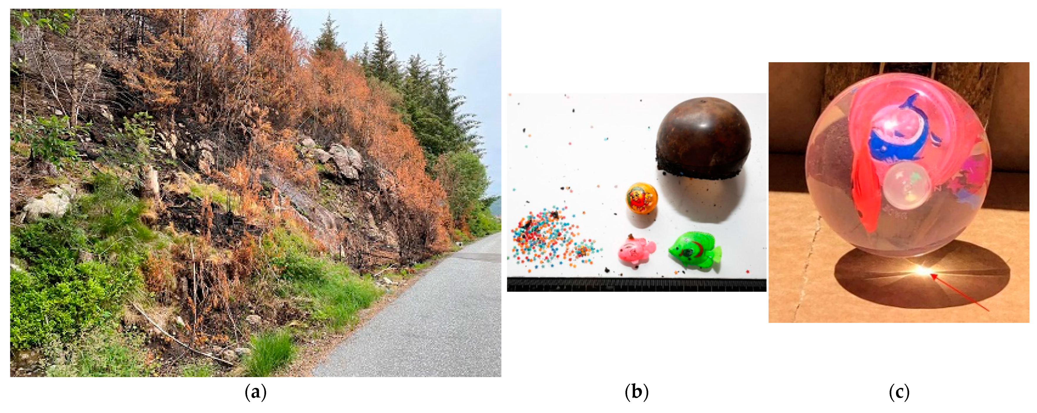 Ijerph 19 03038 g012 550