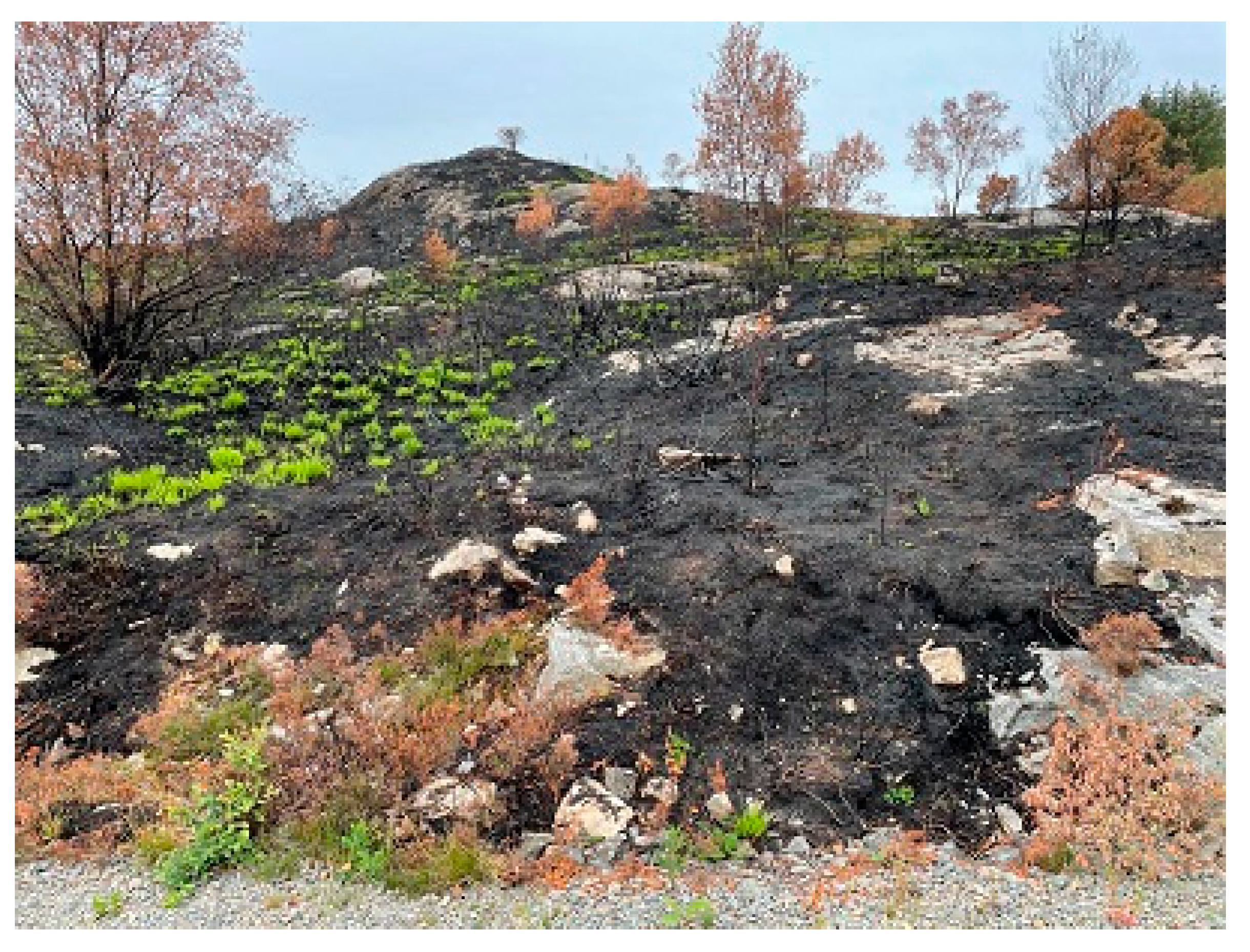 Ijerph 19 03038 g014 550