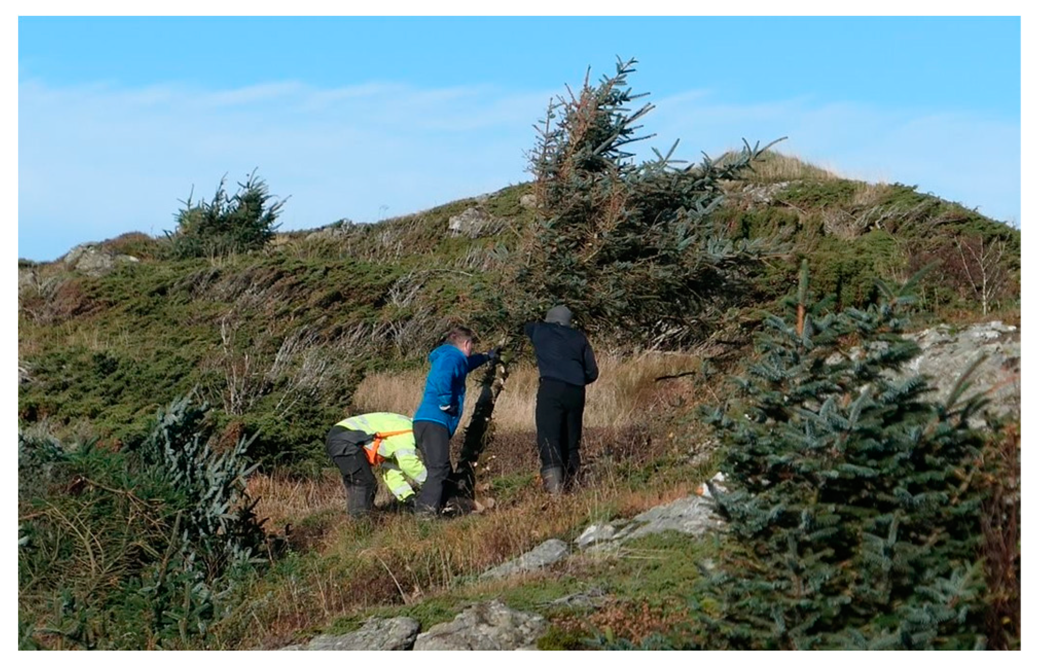 Ijerph 19 03038 g020 550