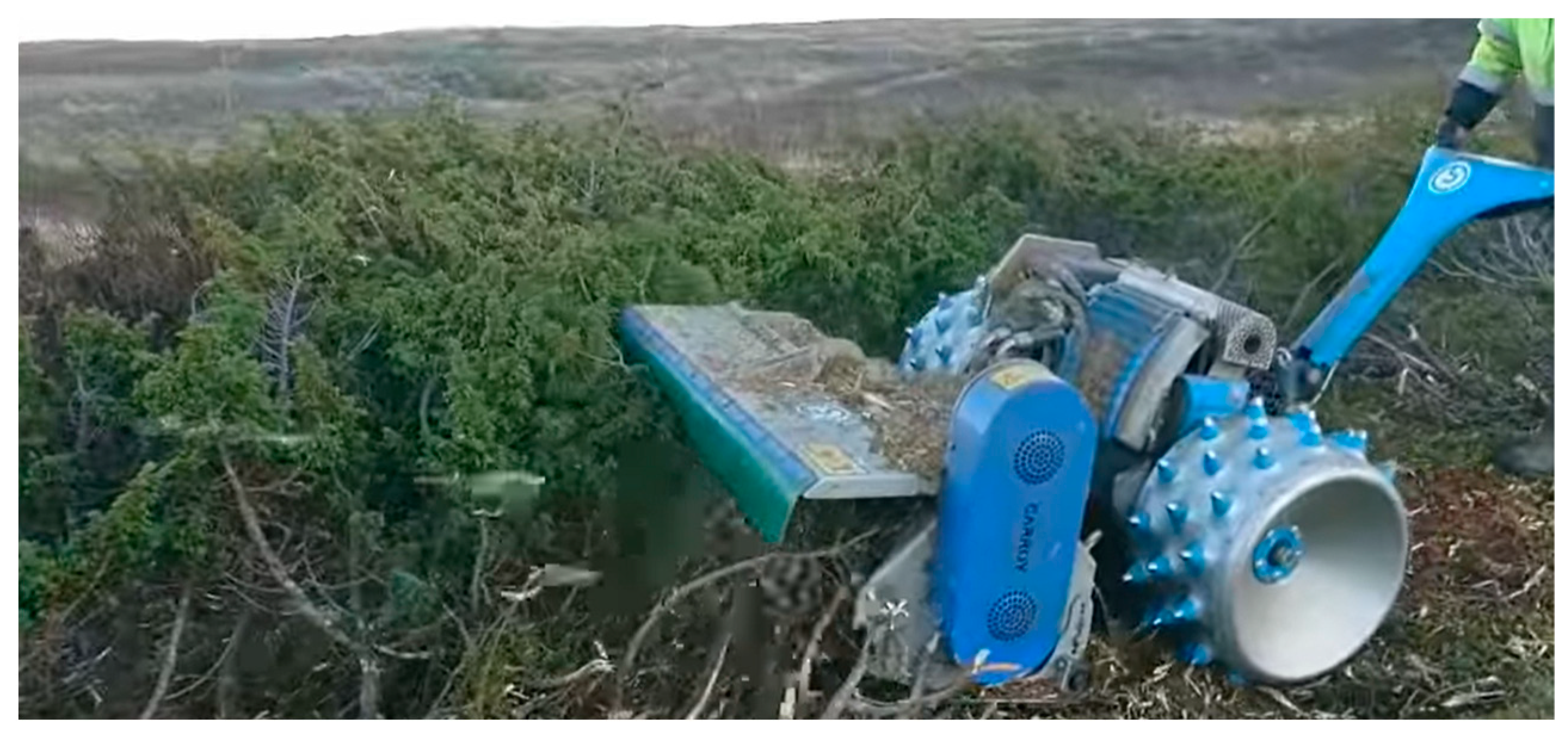 Ijerph 19 03038 g021 550