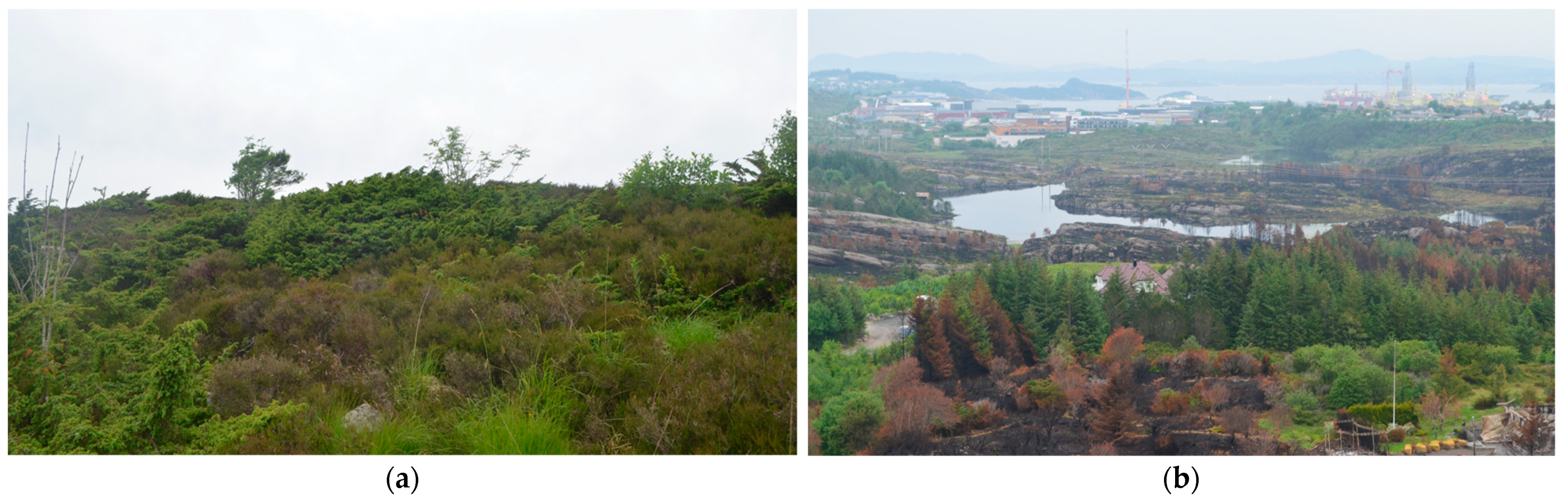 Ijerph 19 03038 g0a3 550