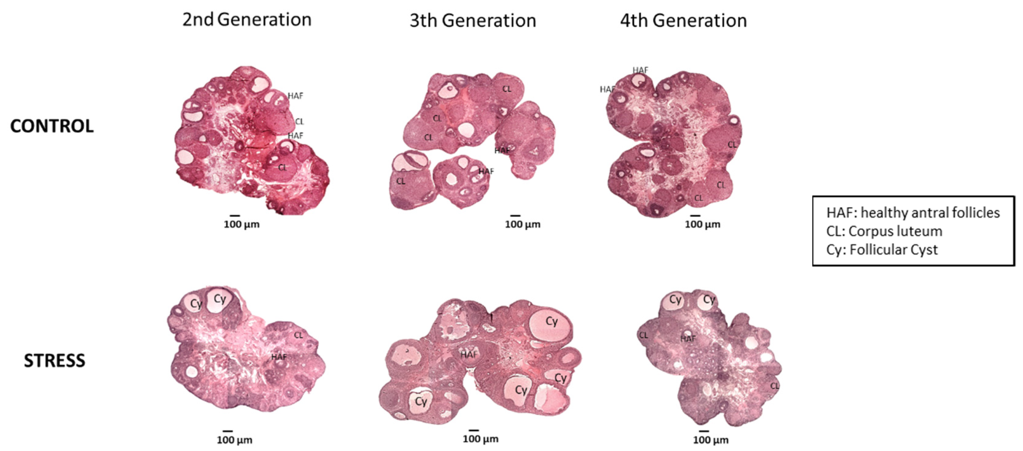 Ijerph 19 03044 g005
