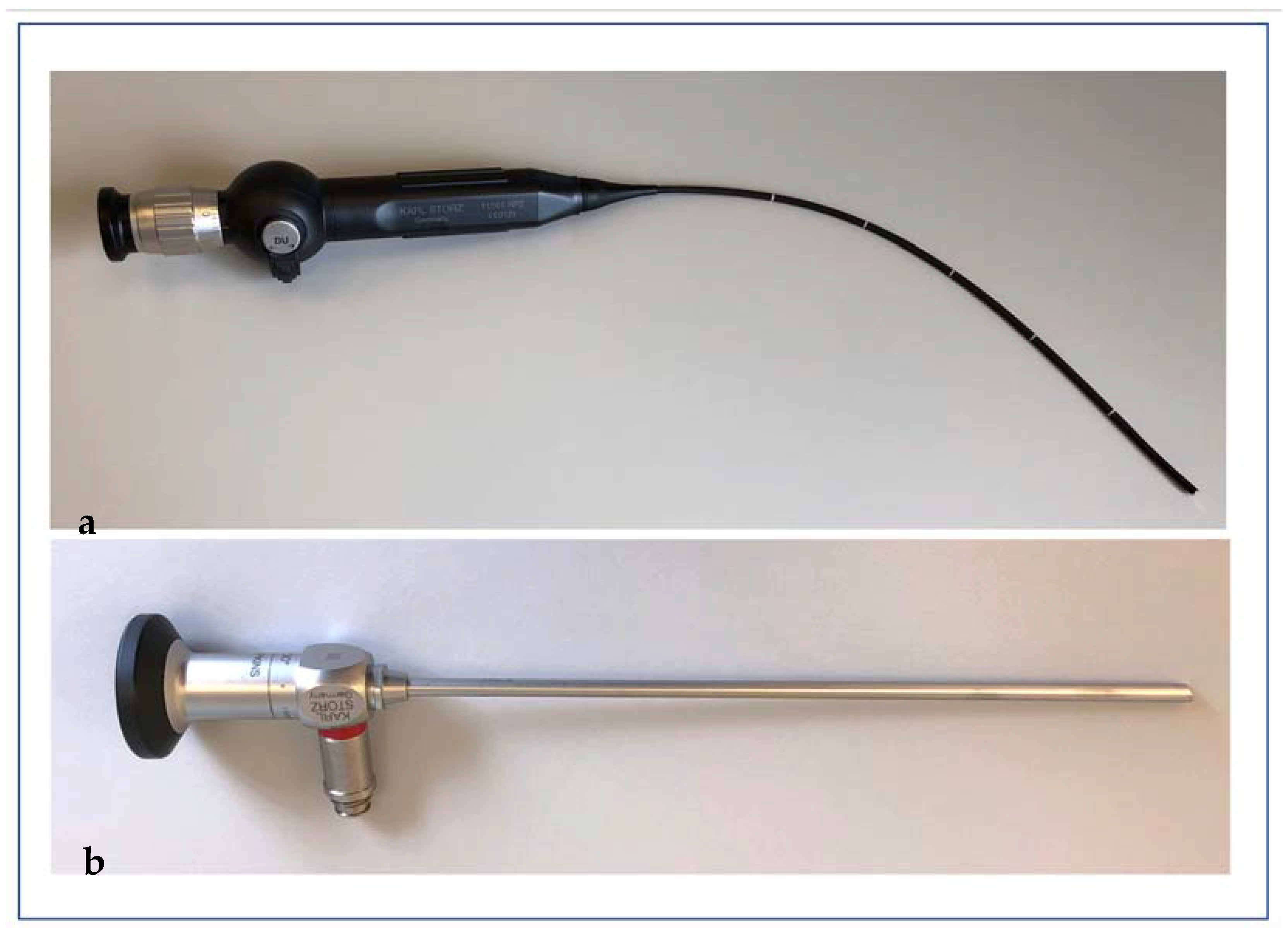 Ijerph 19 03246 g001