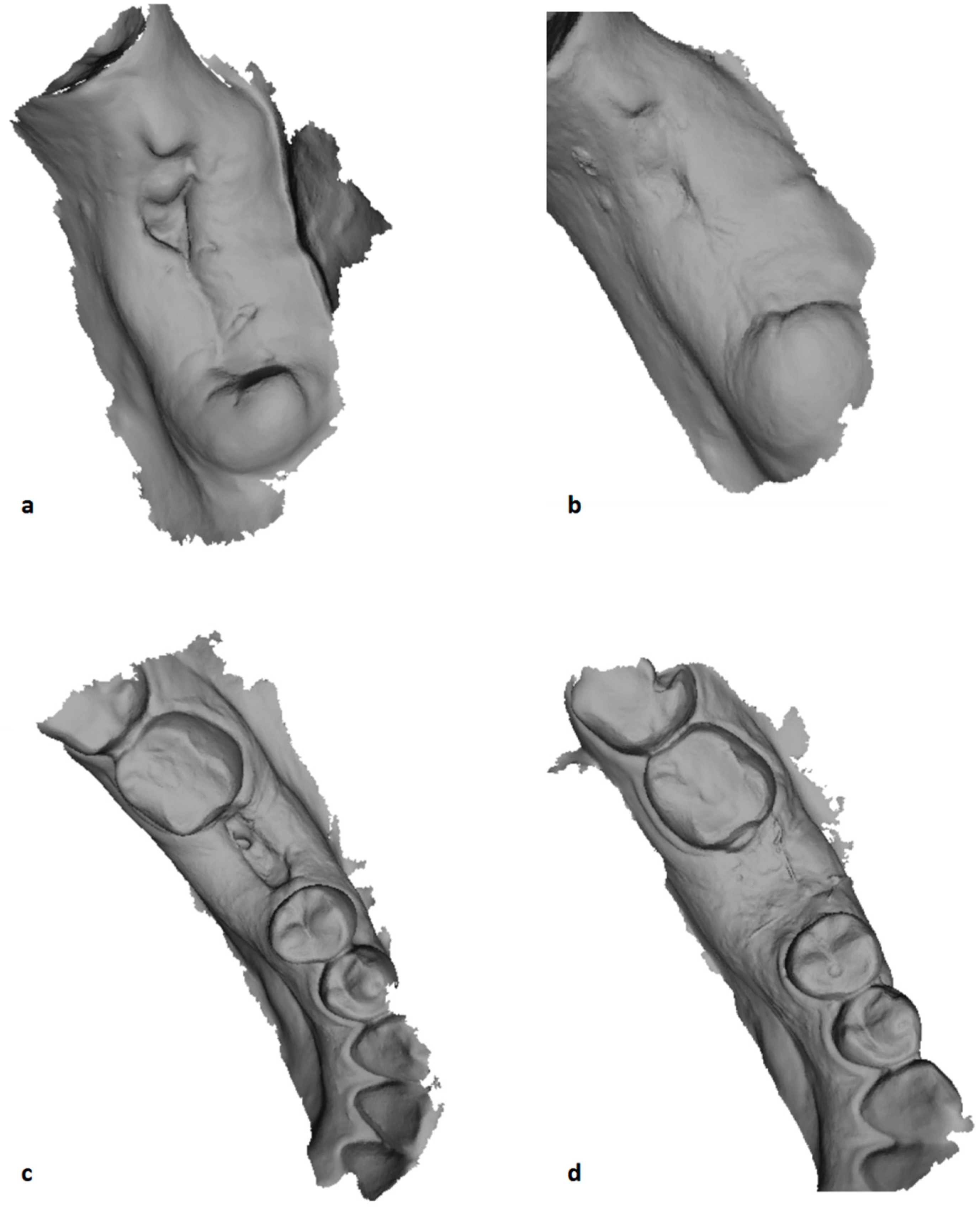 Ijerph 19 03302 g002 550