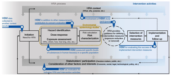 Human Biomonitoring Data in Health Risk Assessments Published in Peer-Reviewed Journals between 2016 and 2021: Confronting Reality after a Preliminary Review