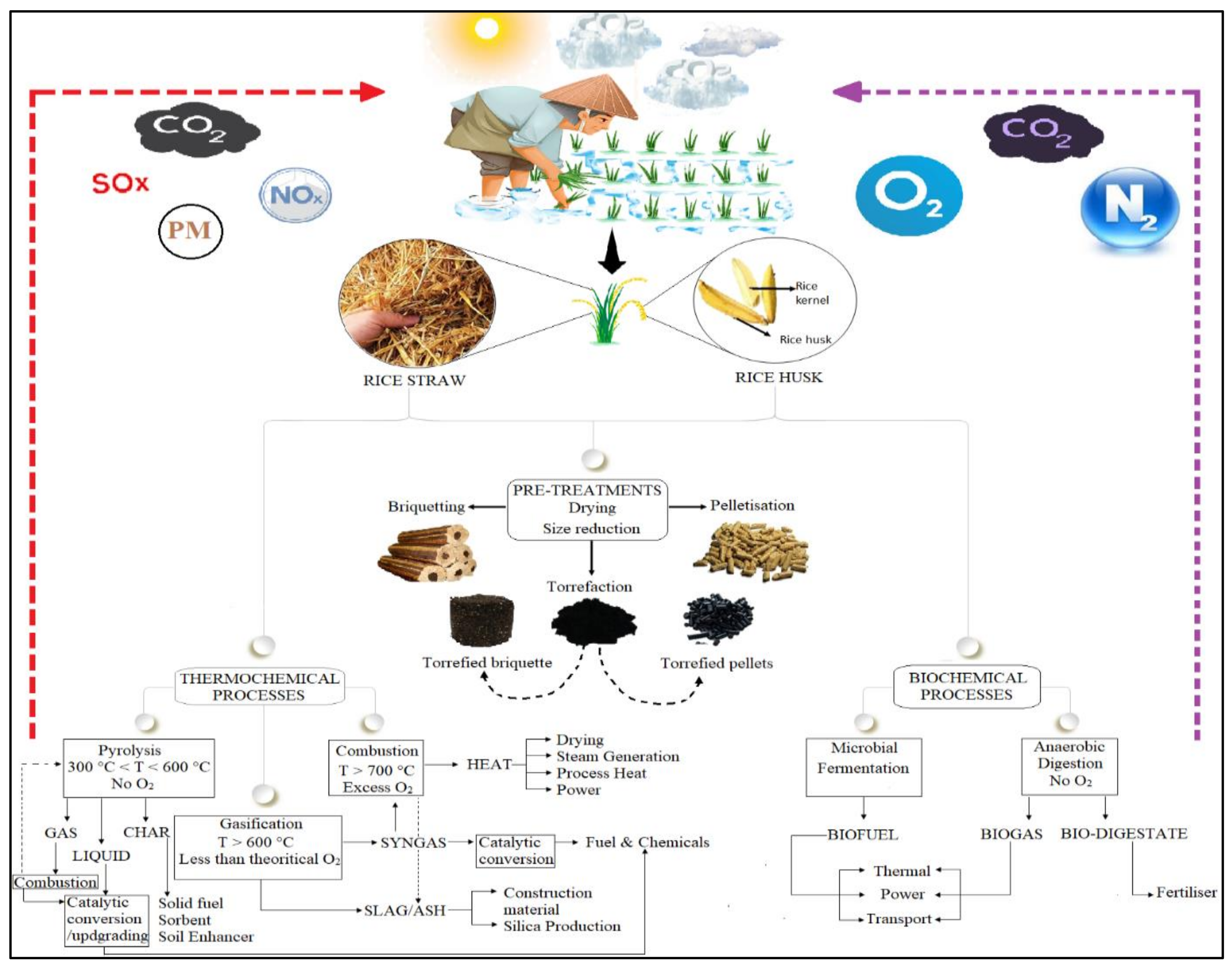 Effect of different application proportions of rice straw and