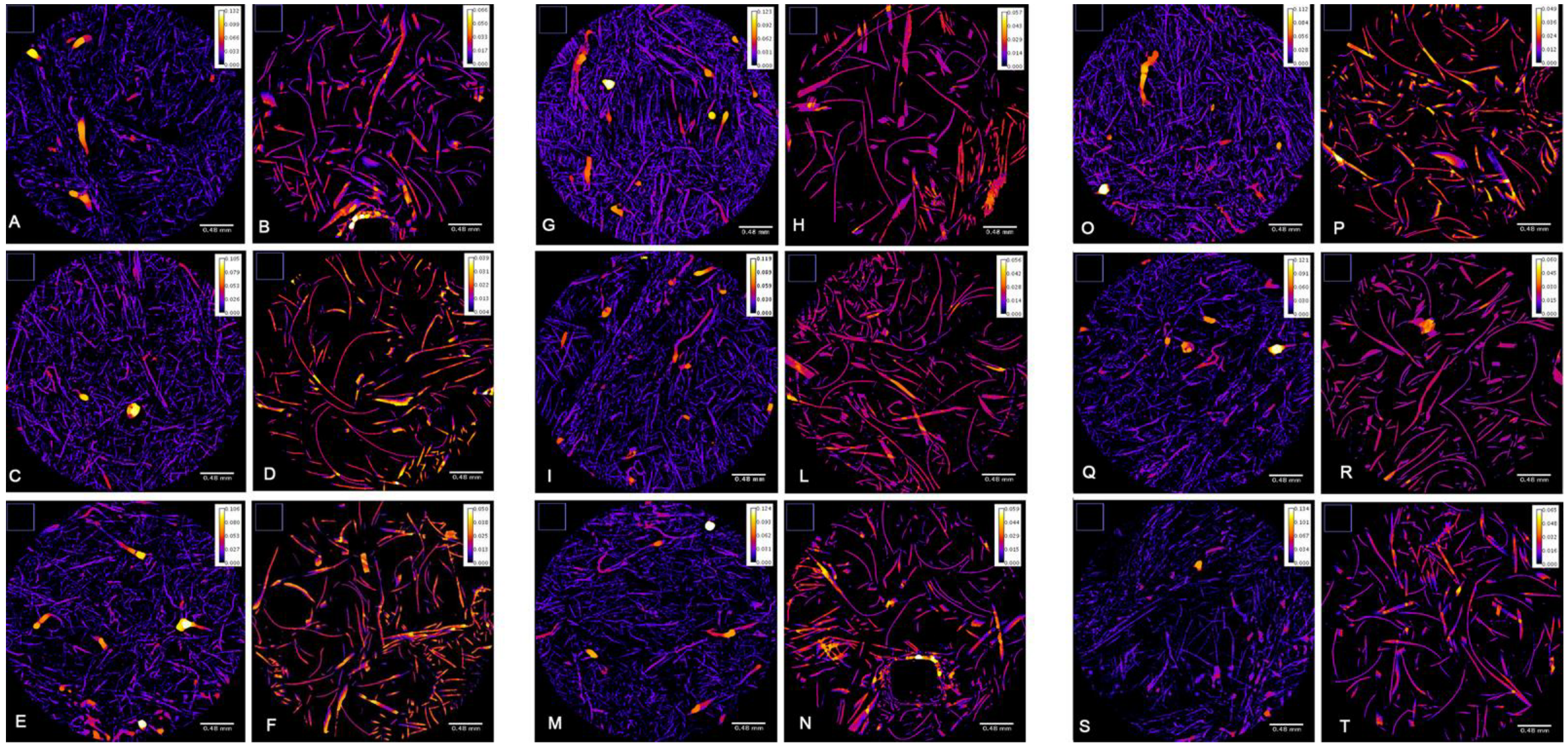 Ijerph 19 03435 g004 550