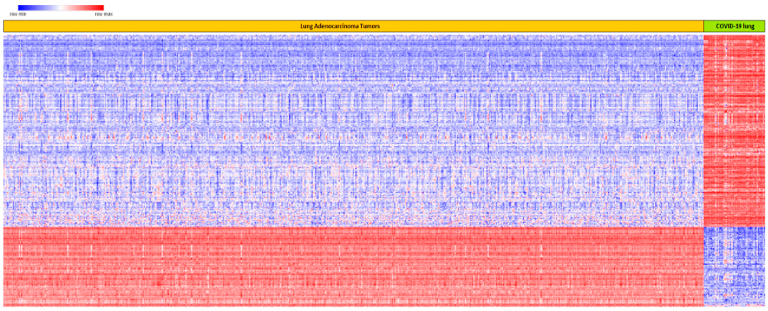 Ijerph 19 03454 g003 550