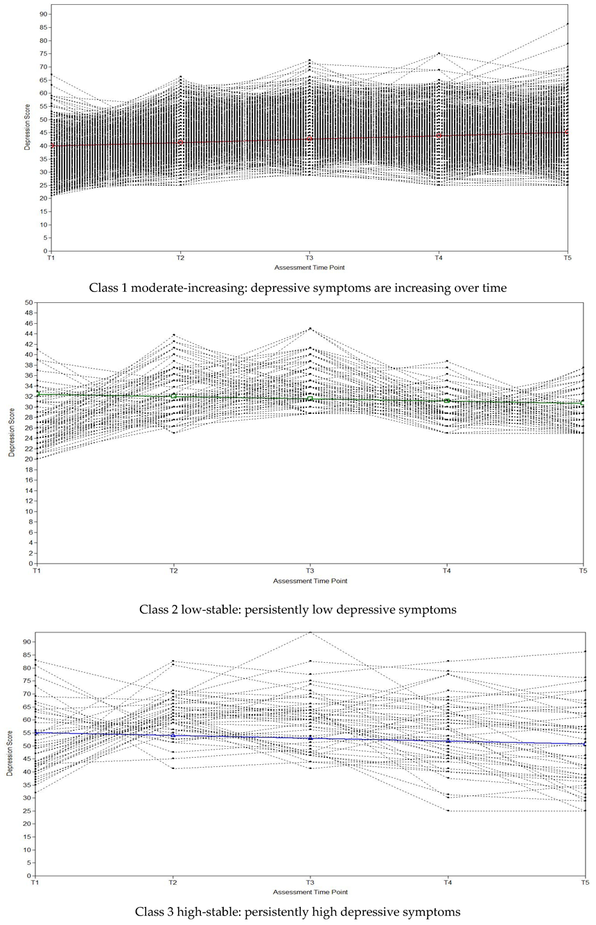 Ijerph 19 03508 g001