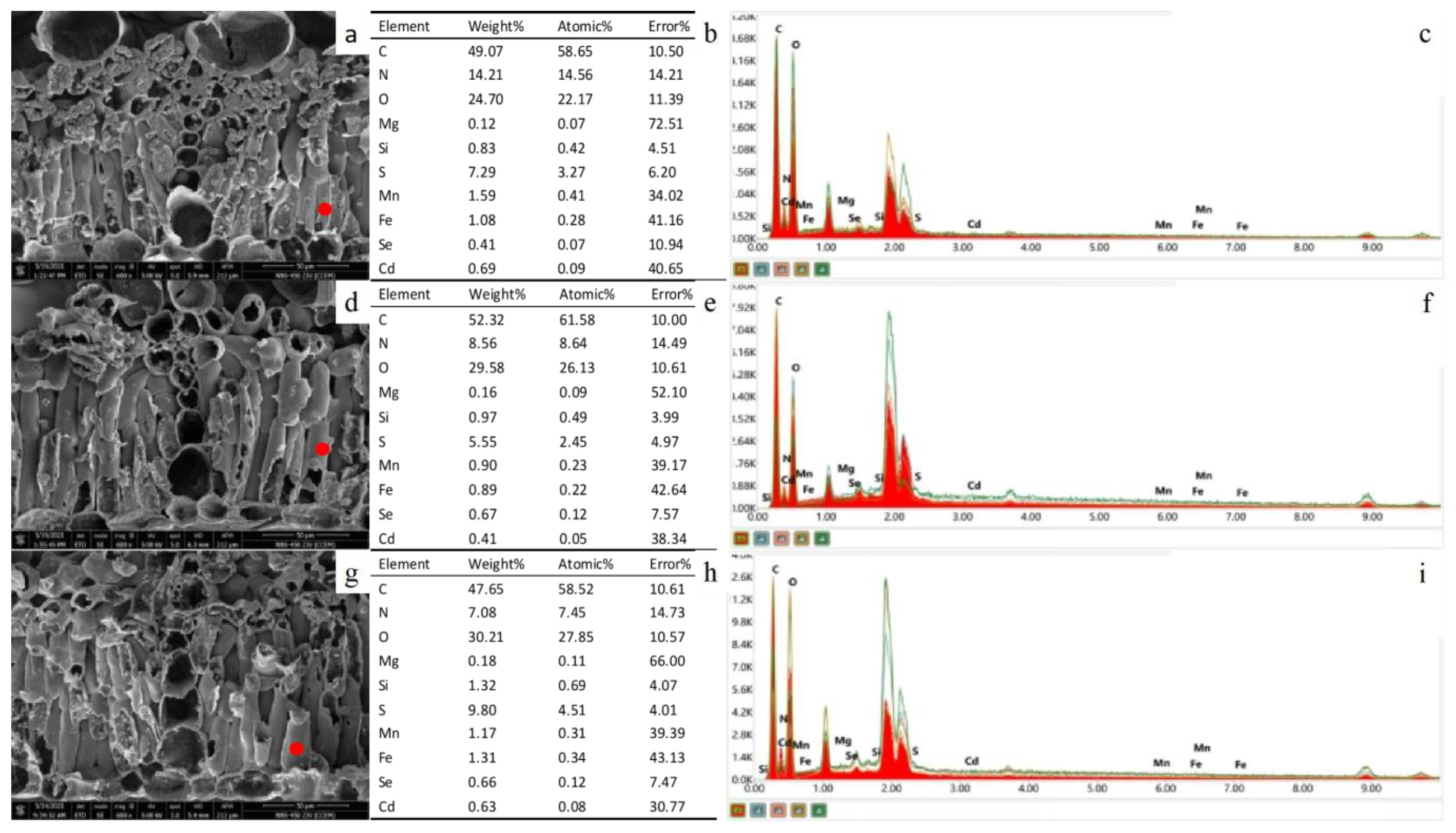 Ijerph 19 03542 g003 550