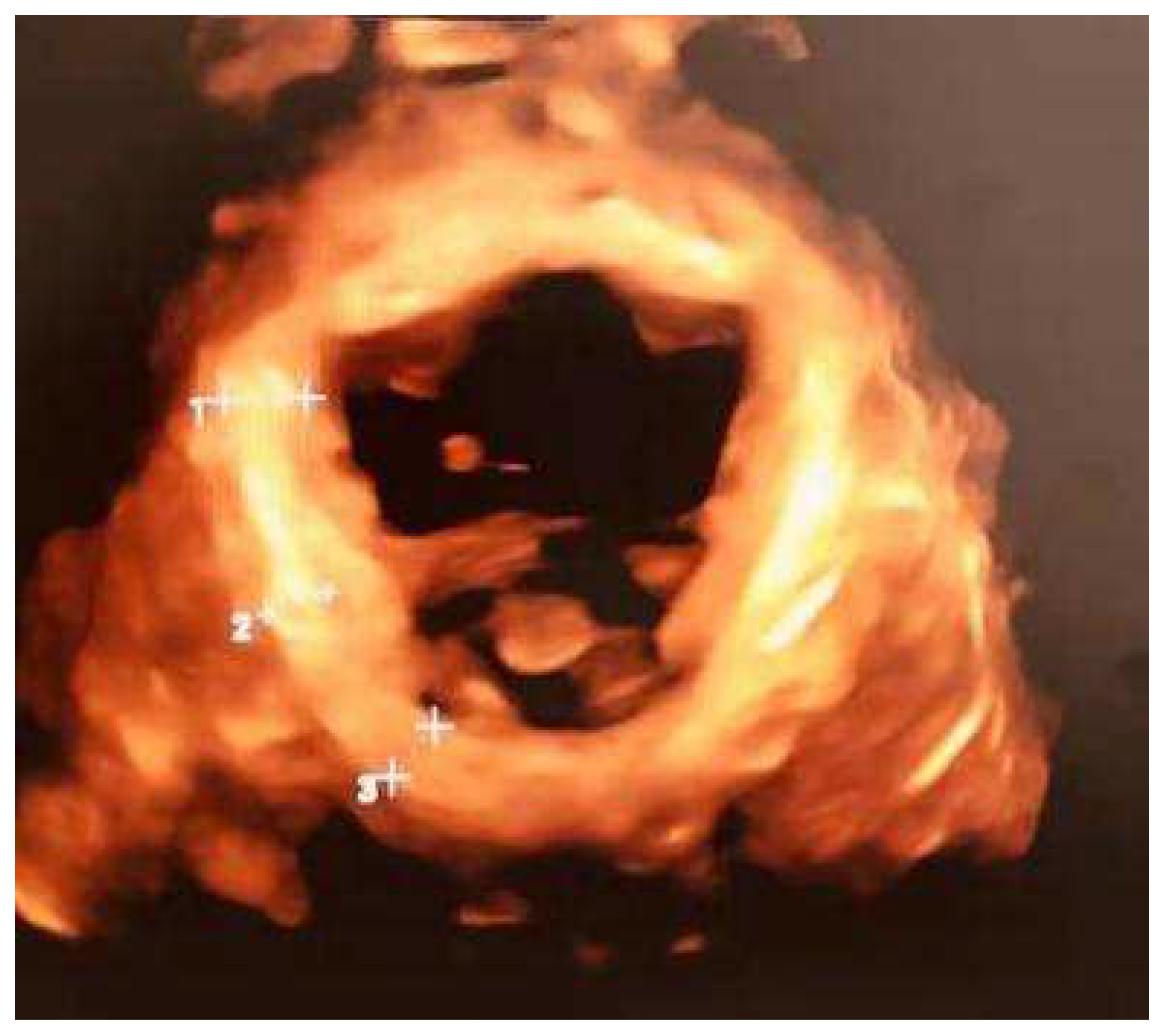 Ijerph 19 03568 g001