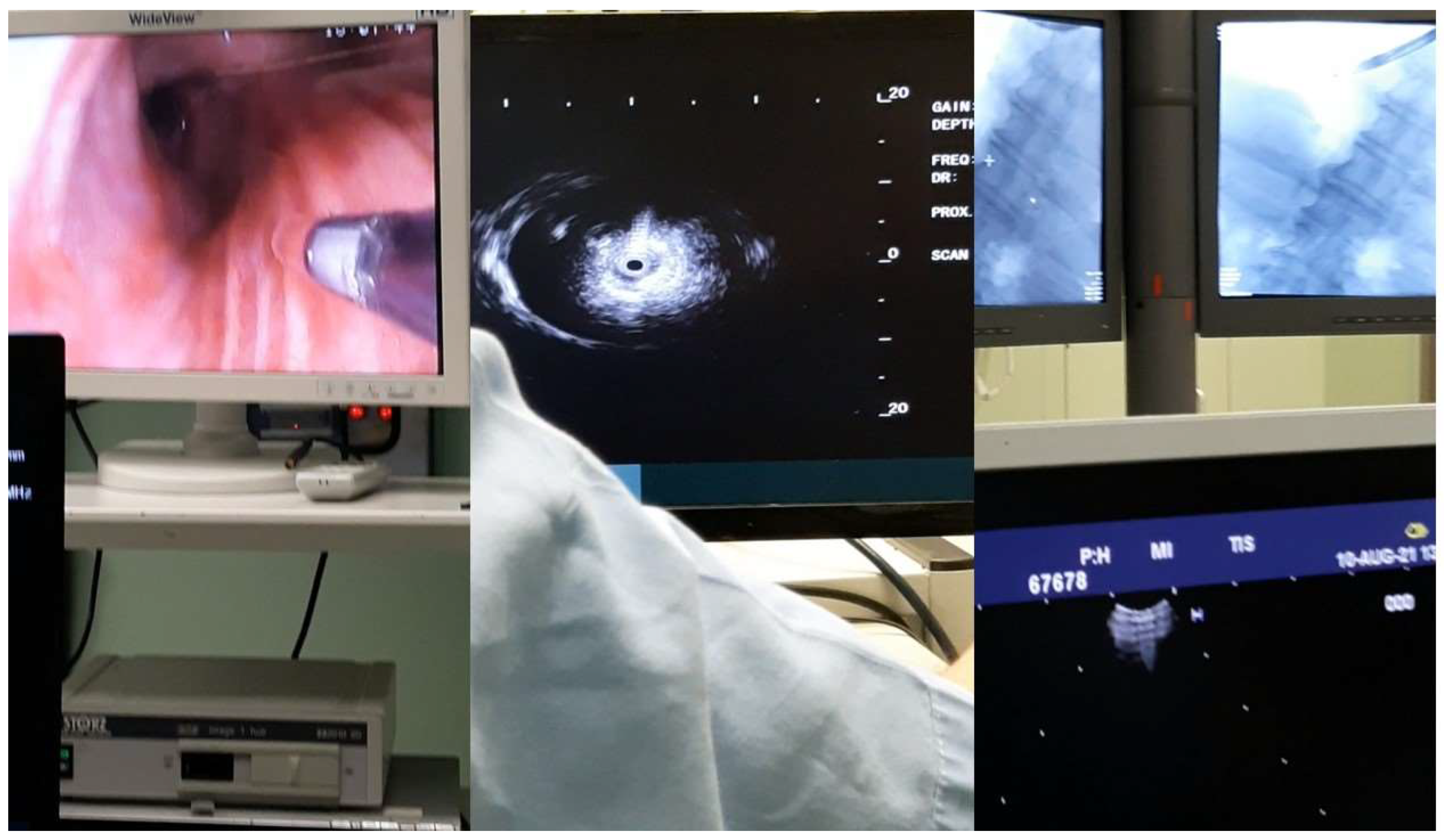 Ijerph 19 03569 g001 Ijerph 19 03569 g001