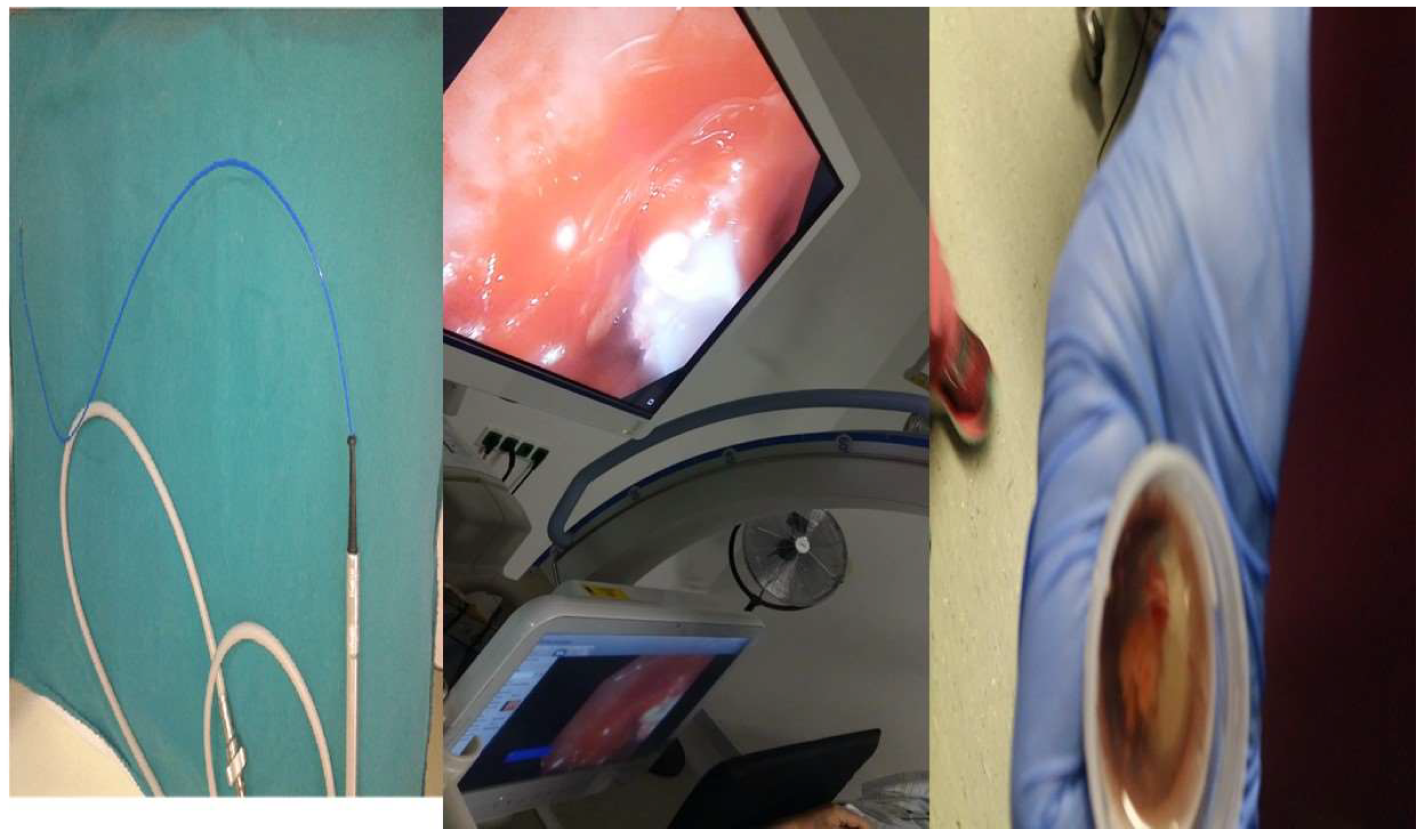 Ijerph 19 03569 g002 Ijerph 19 03569 g002