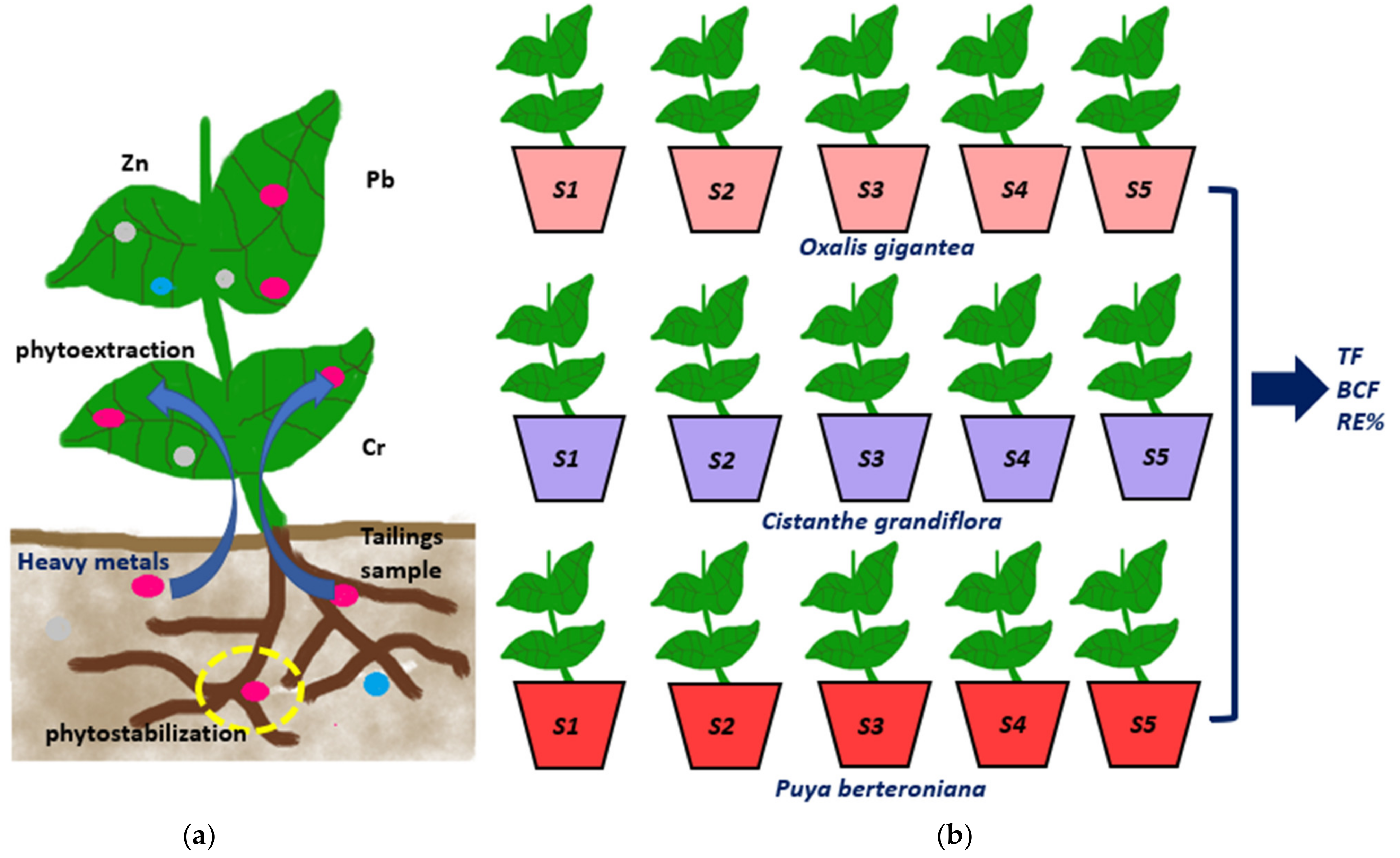 Ijerph 19 03583 g001 550