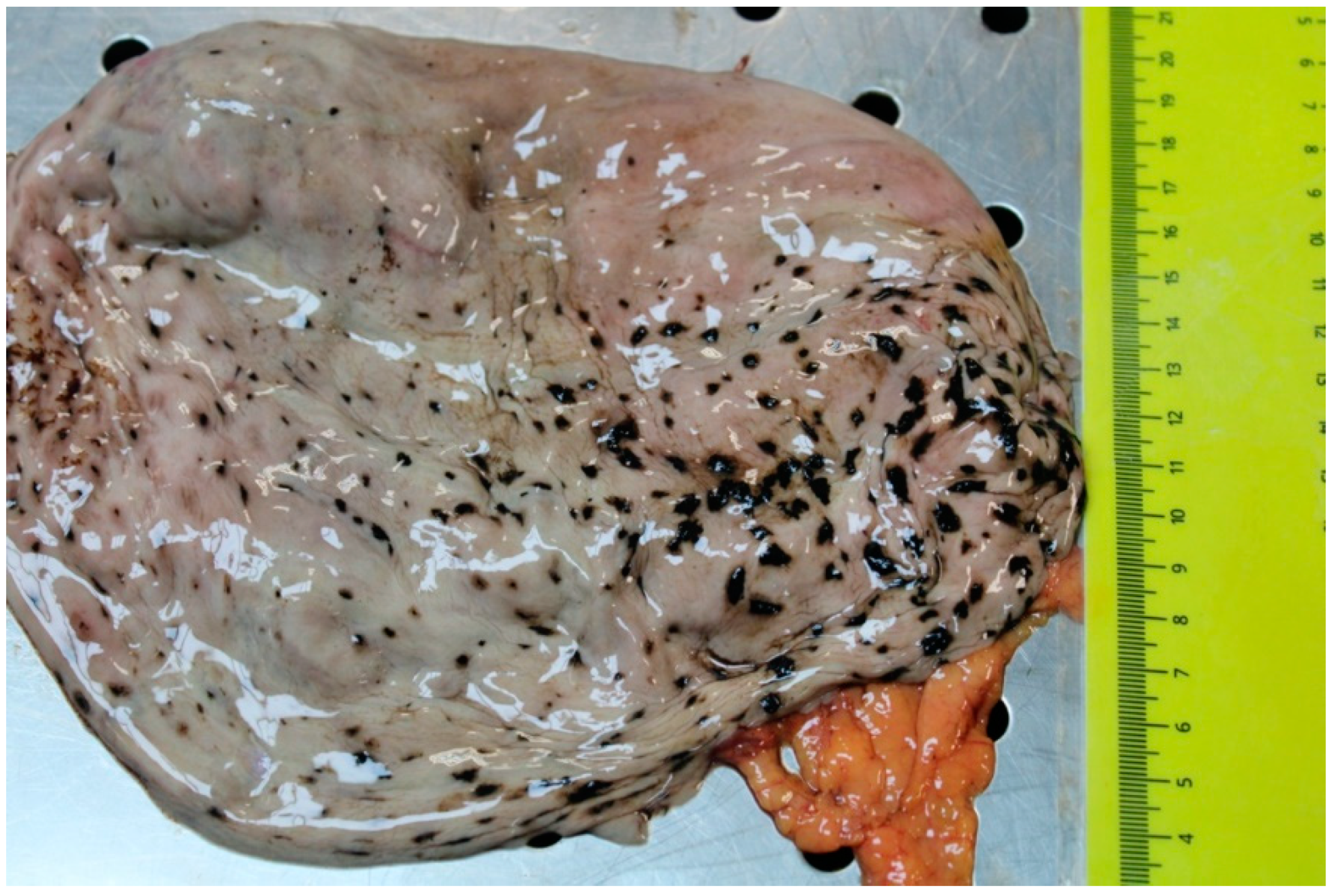 Ijerph 19 03601 g001