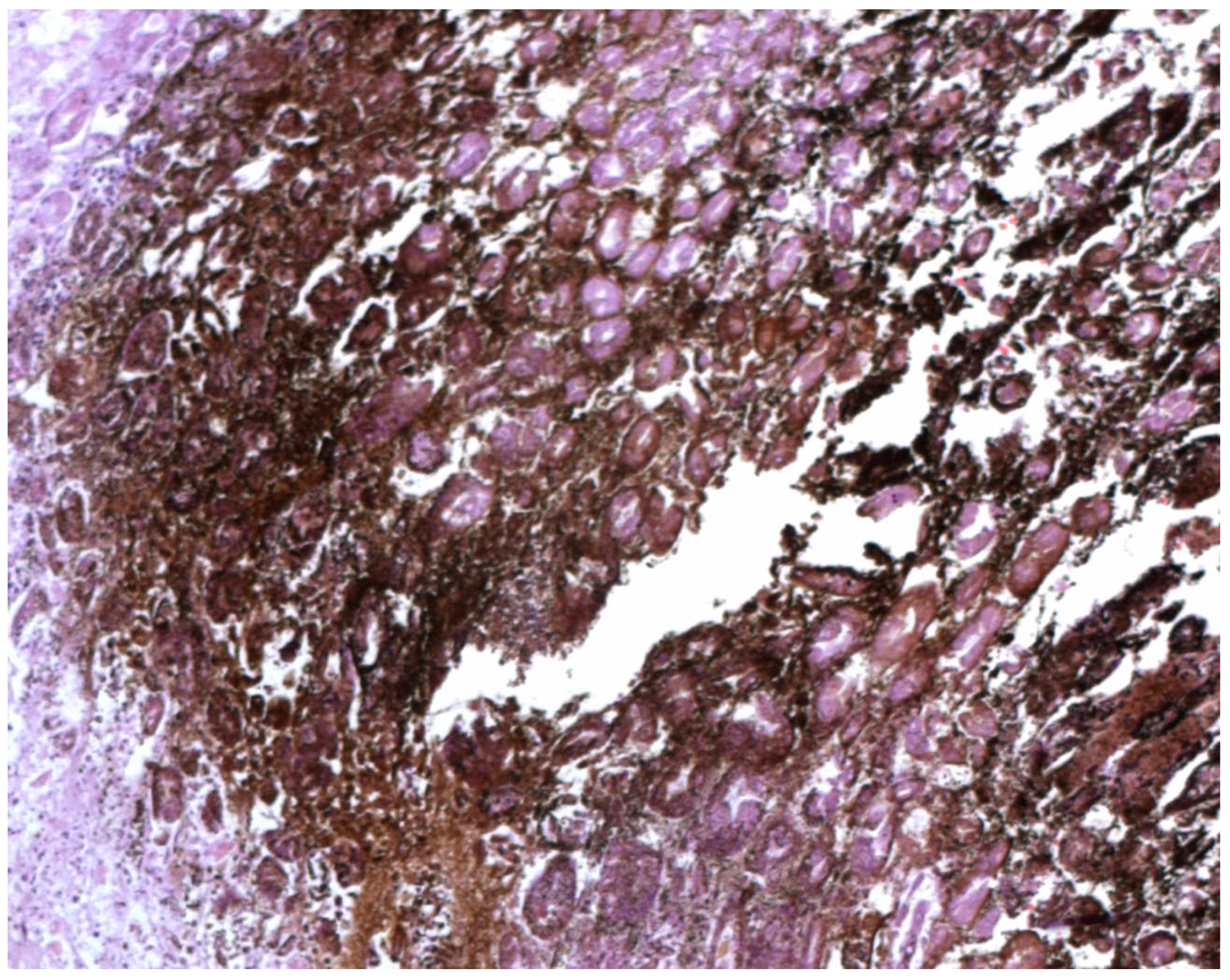 Ijerph 19 03601 g003