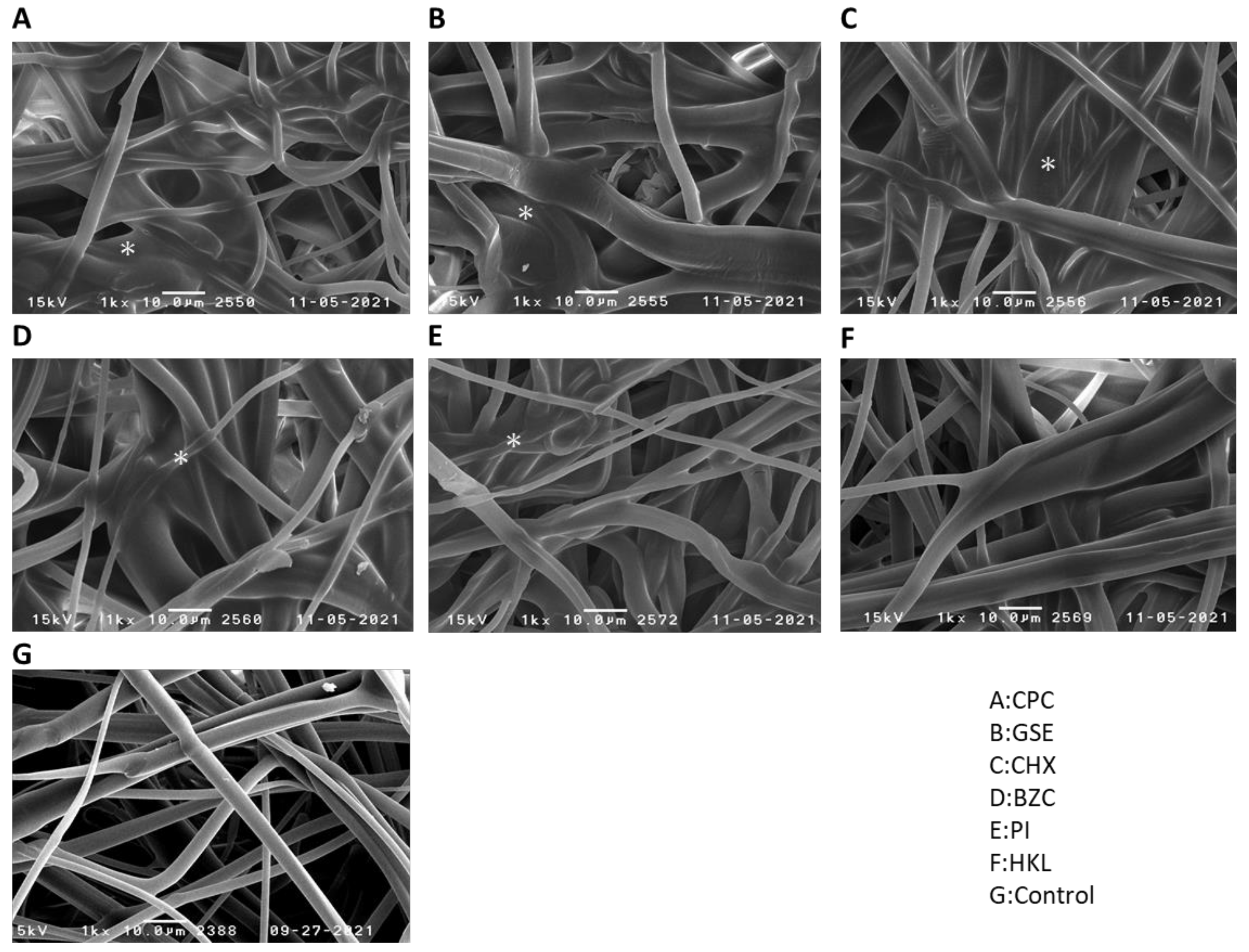 Ijerph 19 03639 g001 550