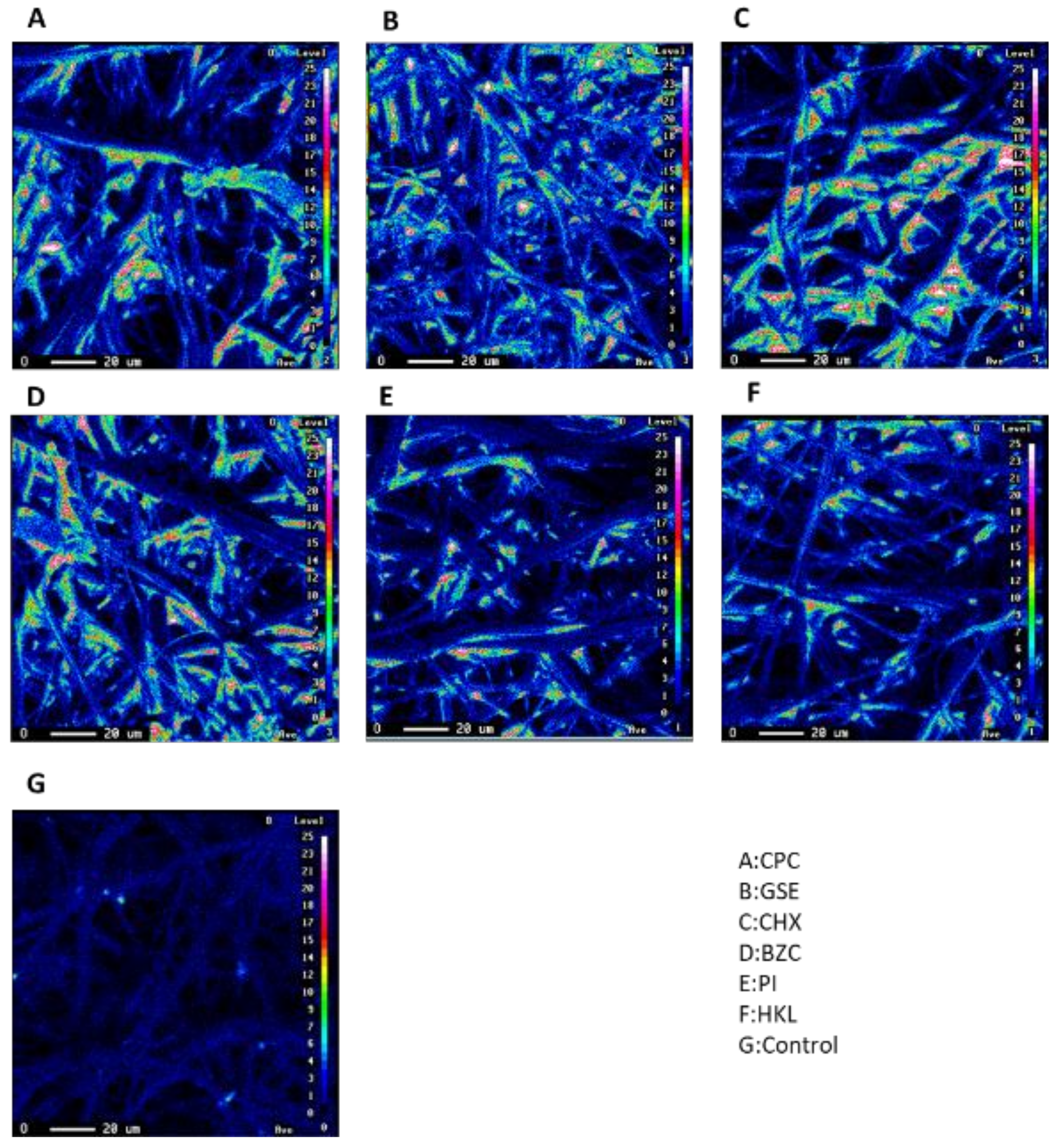 Ijerph 19 03639 g003 550
