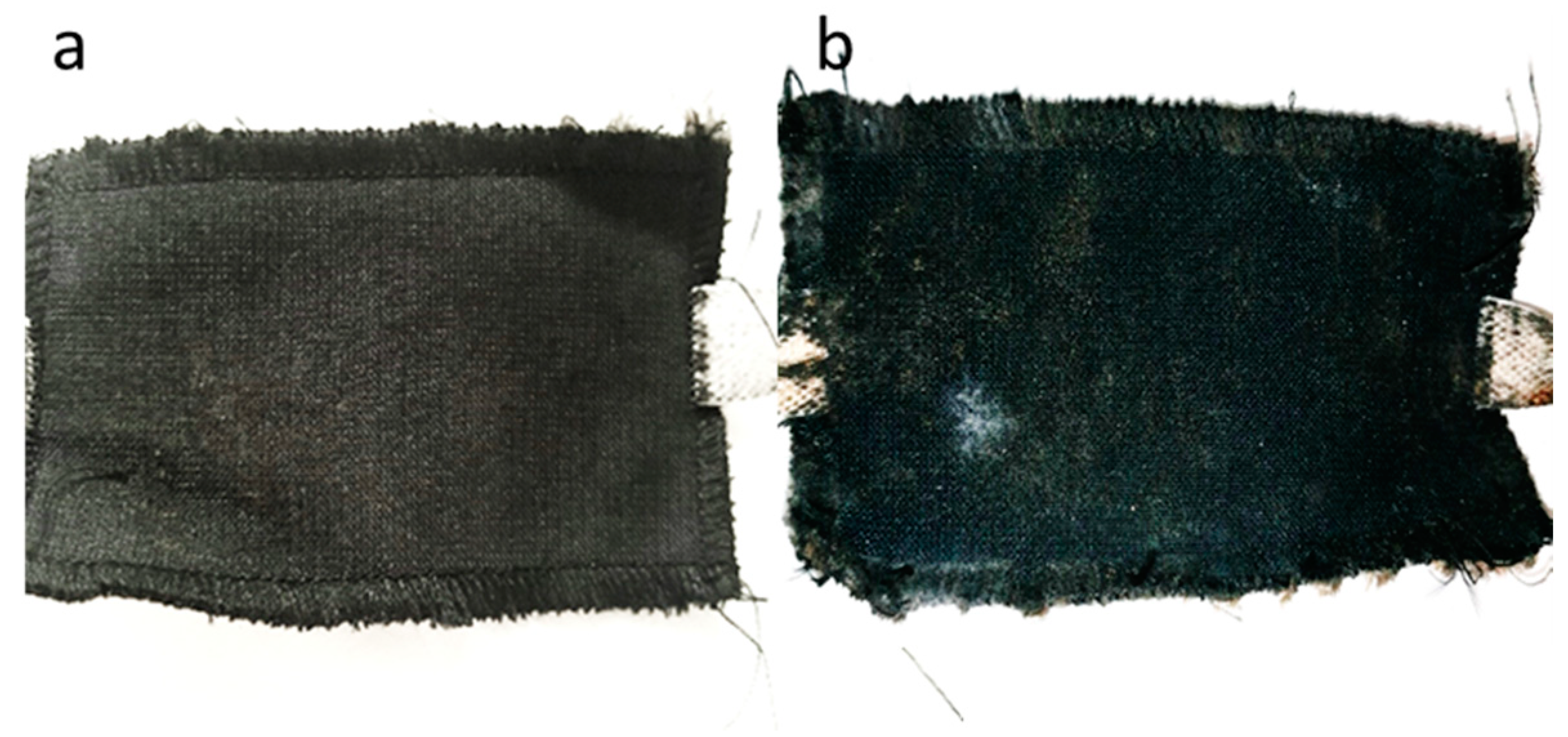 Ijerph 19 03663 g001