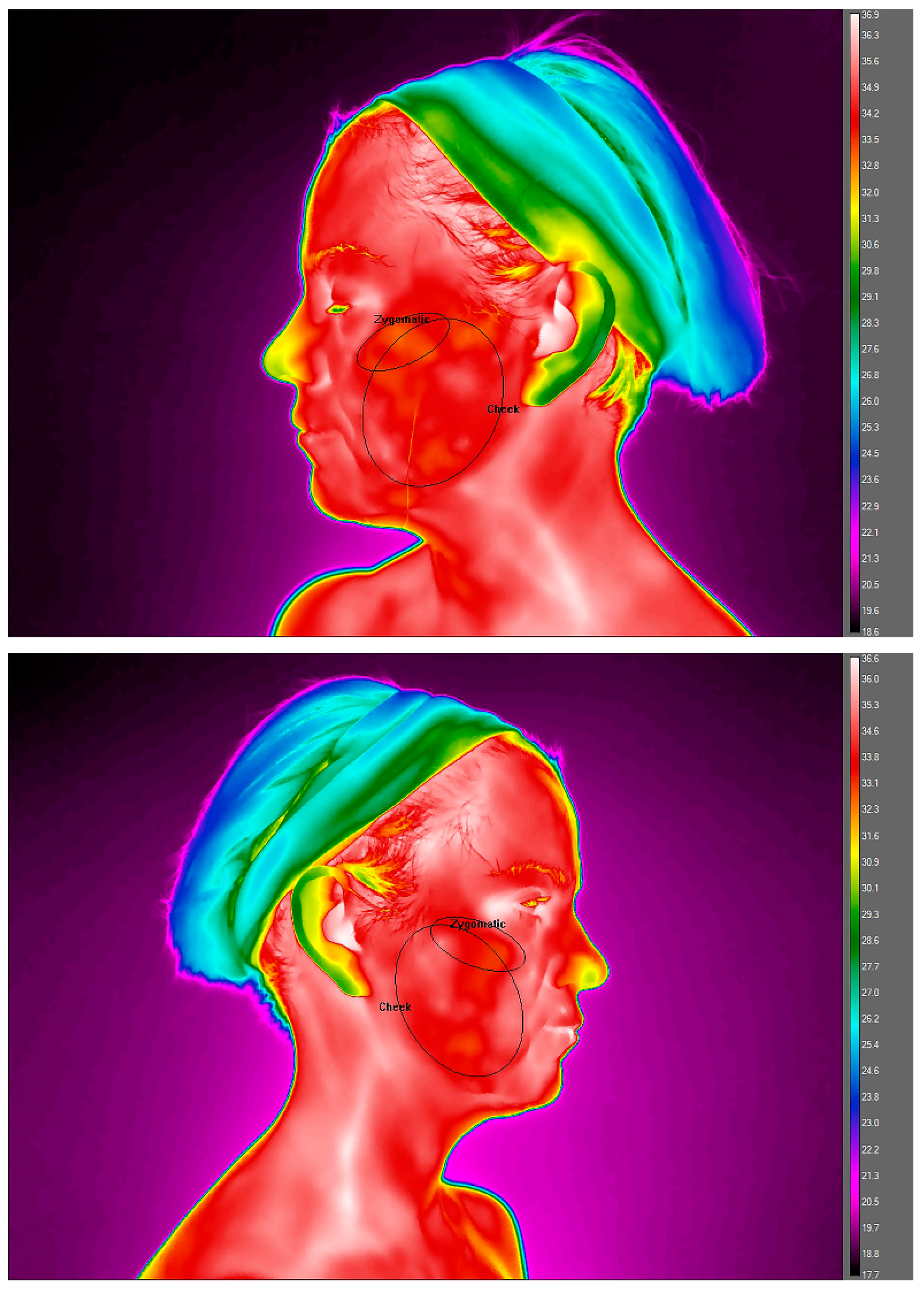 Ijerph 19 03687 g001b 550