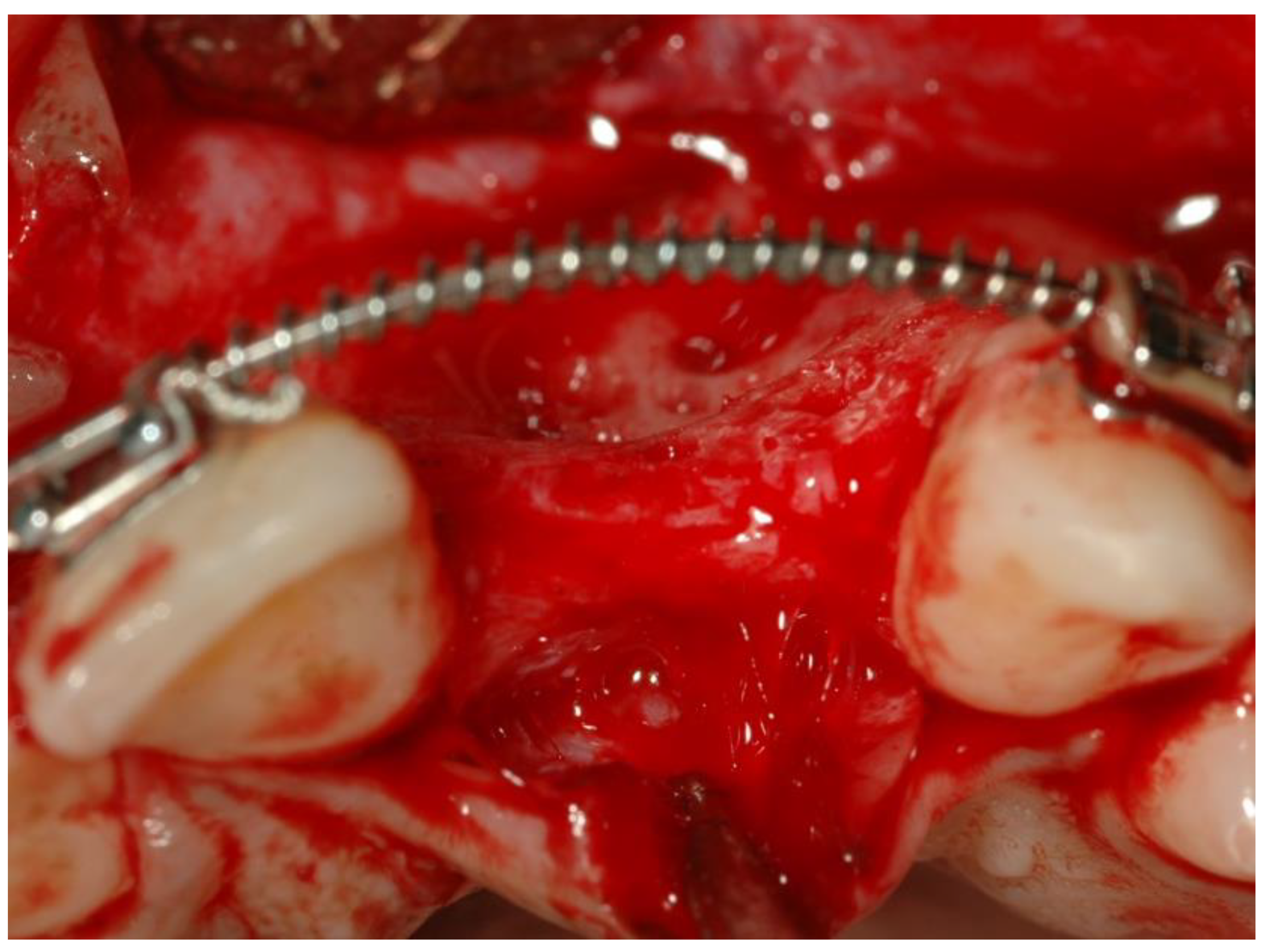 Ijerph 19 03689 g001 550