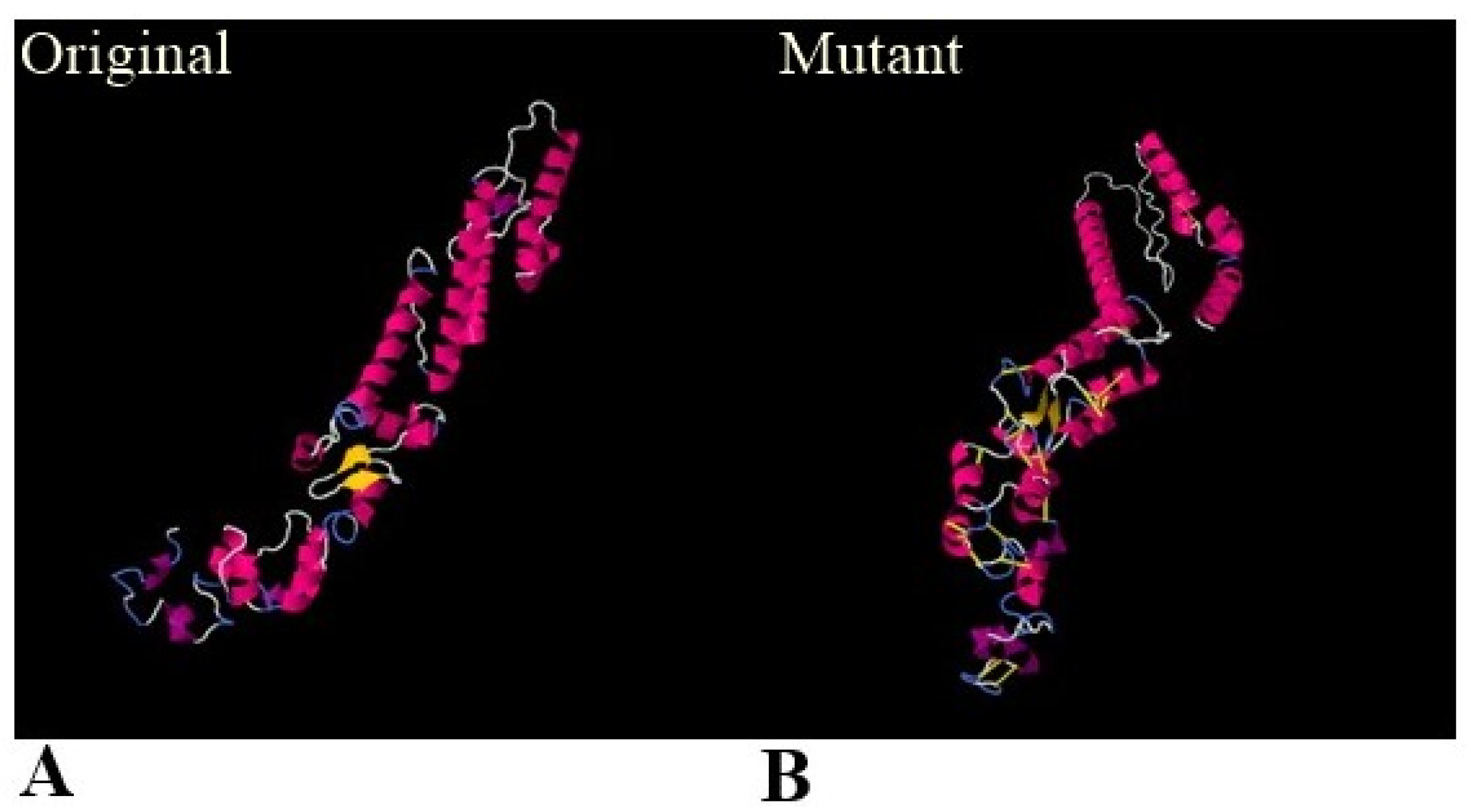 Ijerph 19 03729 g005 550