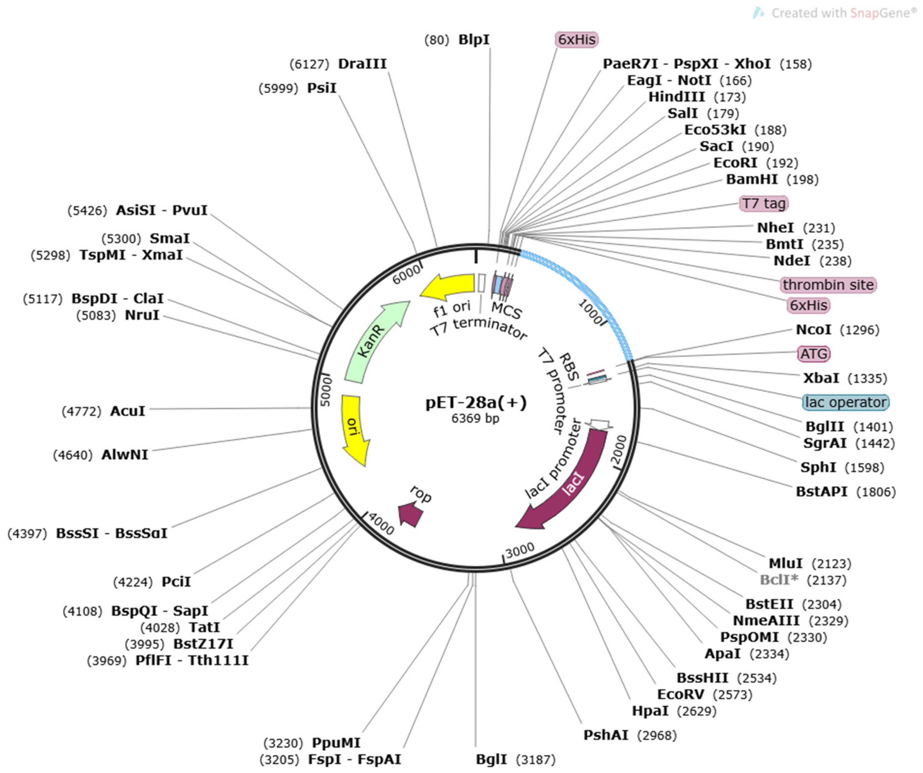 Ijerph 19 03729 g006 550