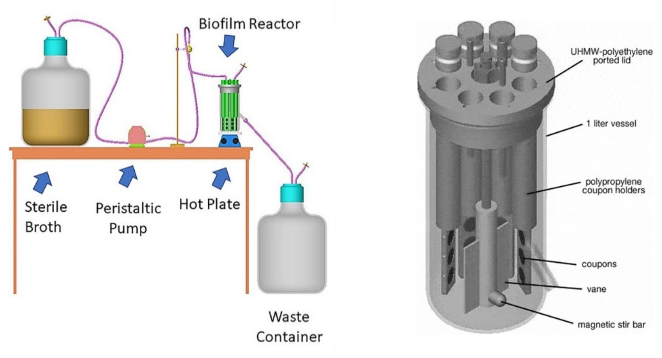 Ijerph 19 03741 sch001 550