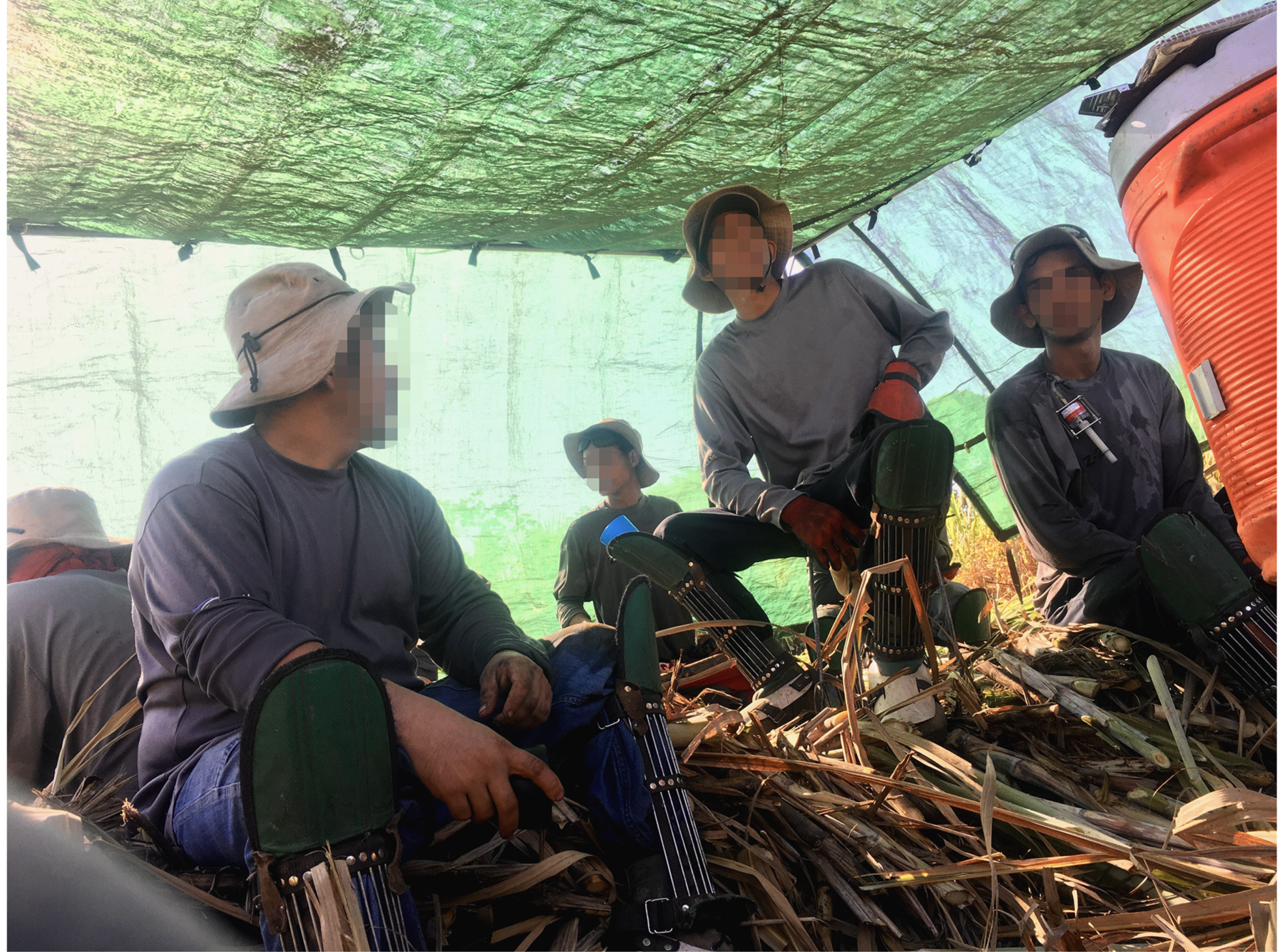 Ijerph 19 03779 g005 550