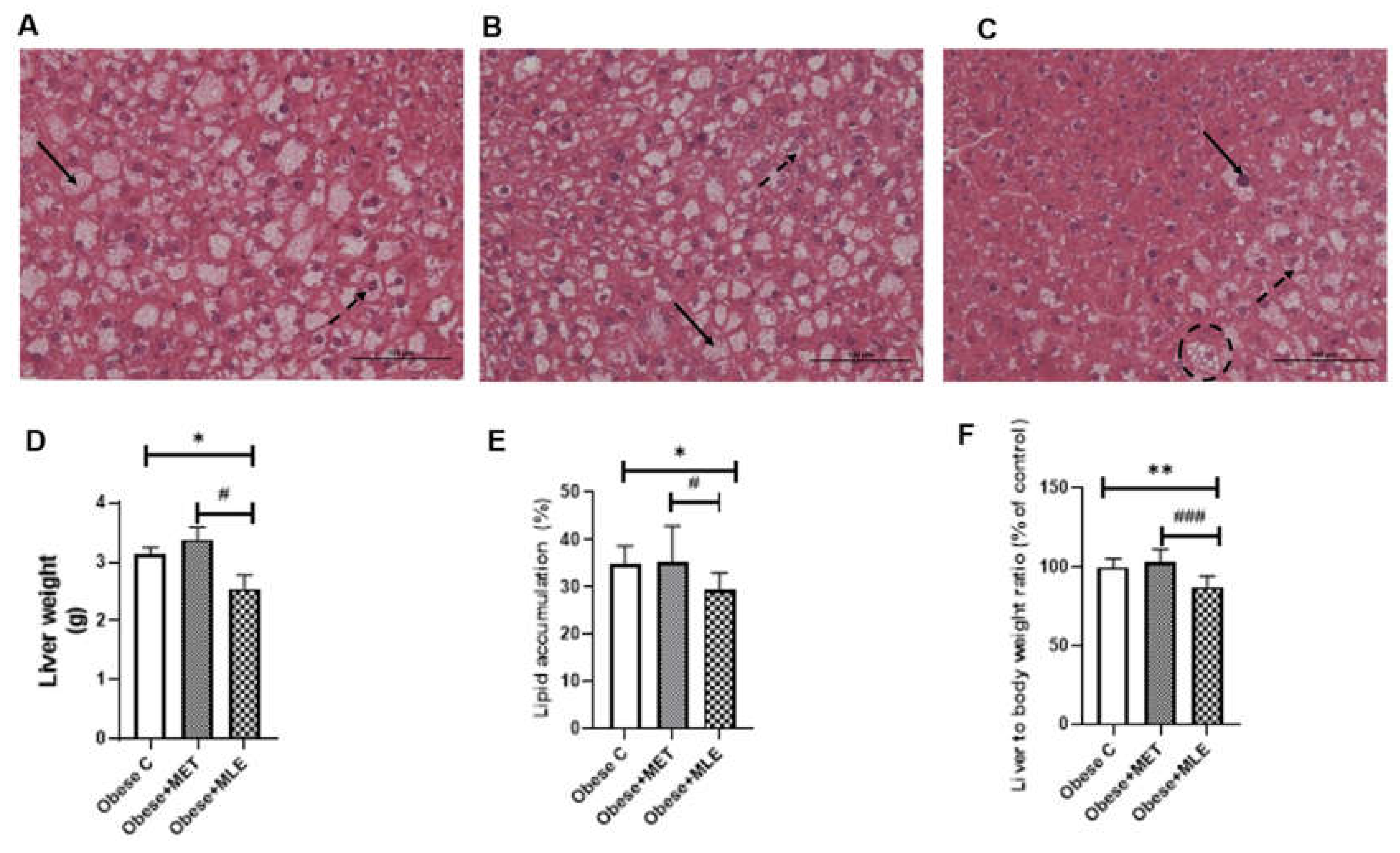 Ijerph 19 03782 g002 550