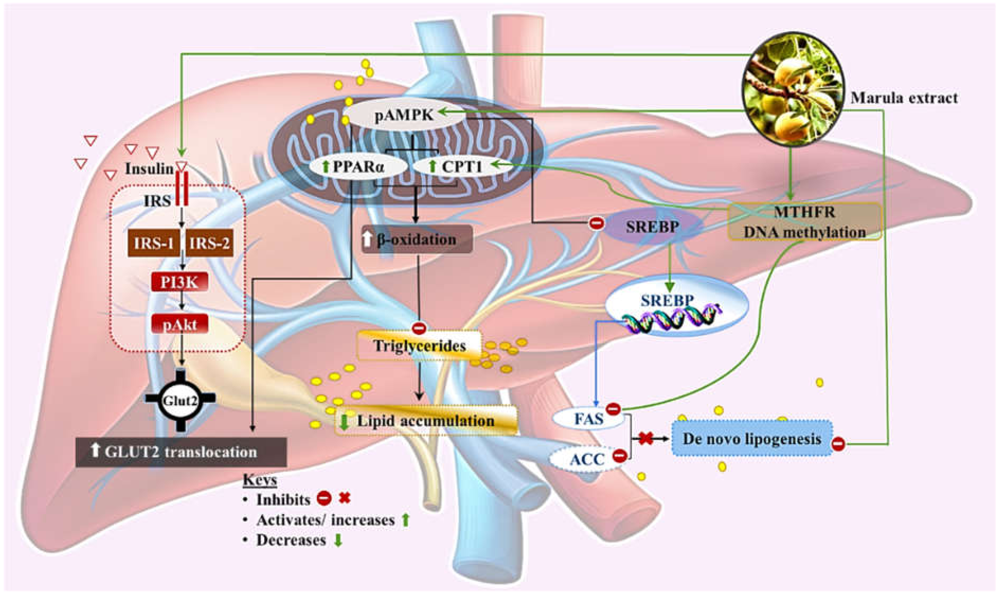 Ijerph 19 03782 g007 550