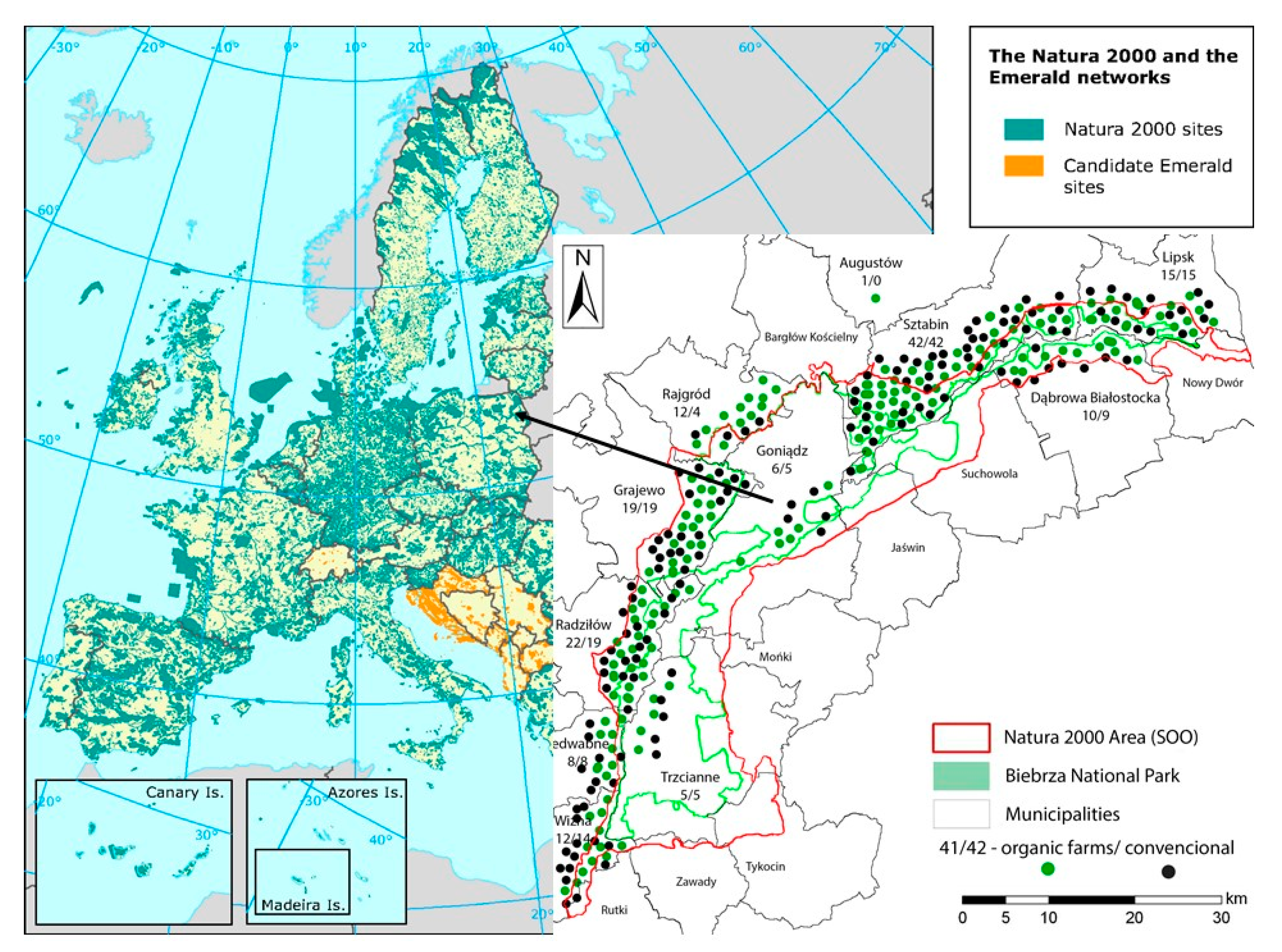 Ijerph 19 03793 g001
