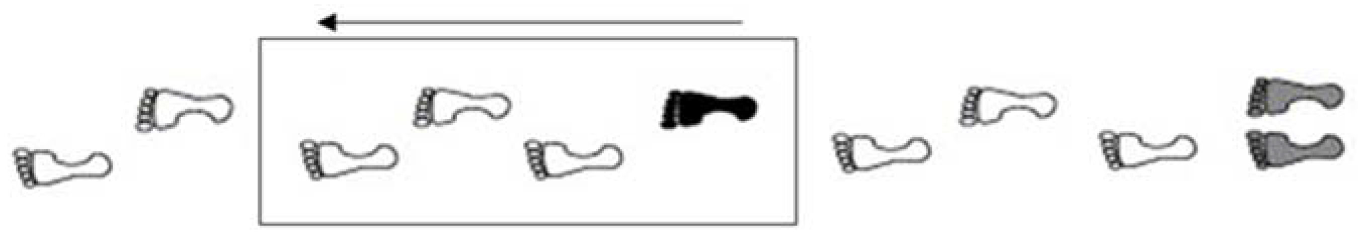 Ijerph 19 03843 g003 550