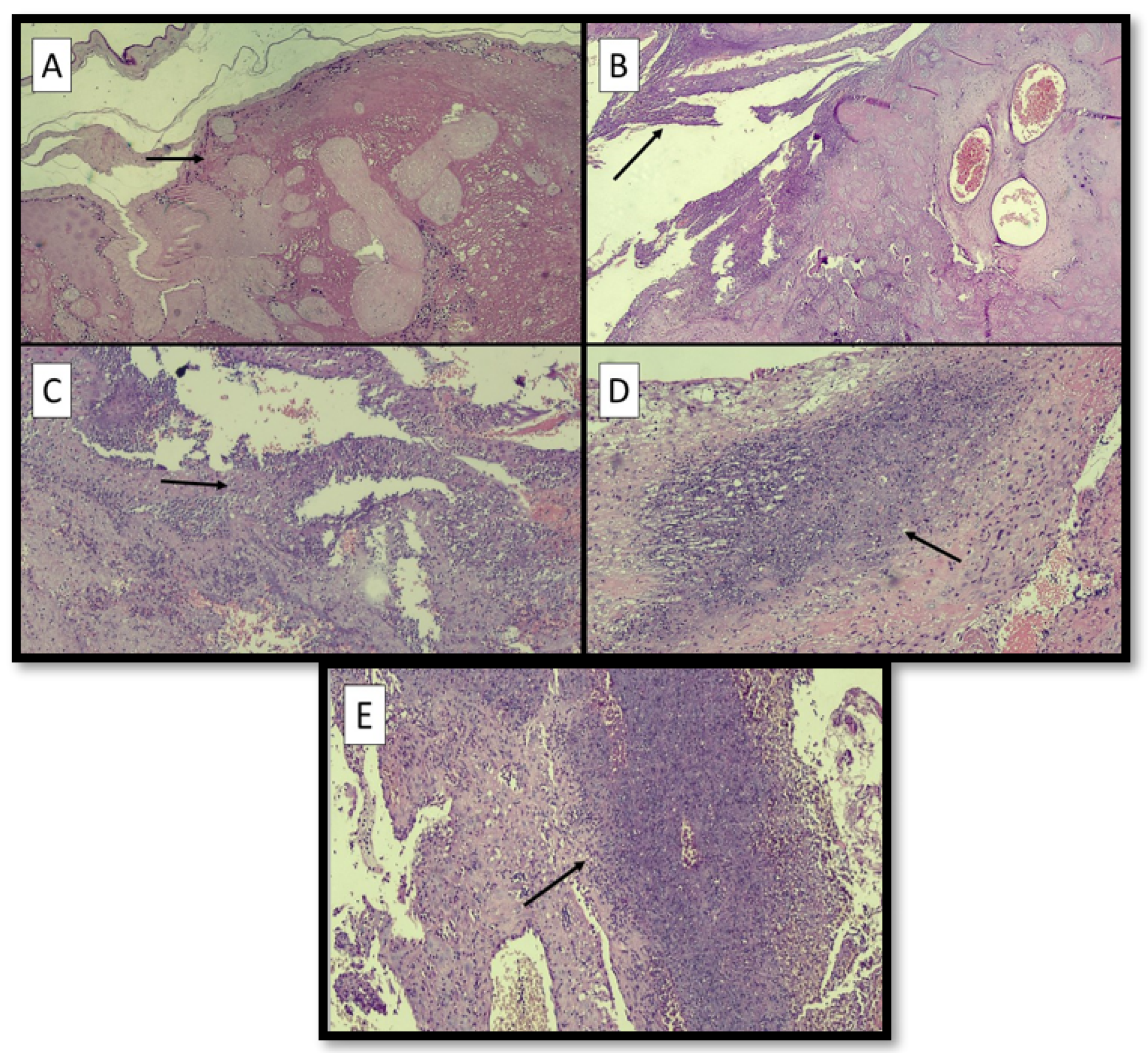 Ijerph 19 03891 g002 550