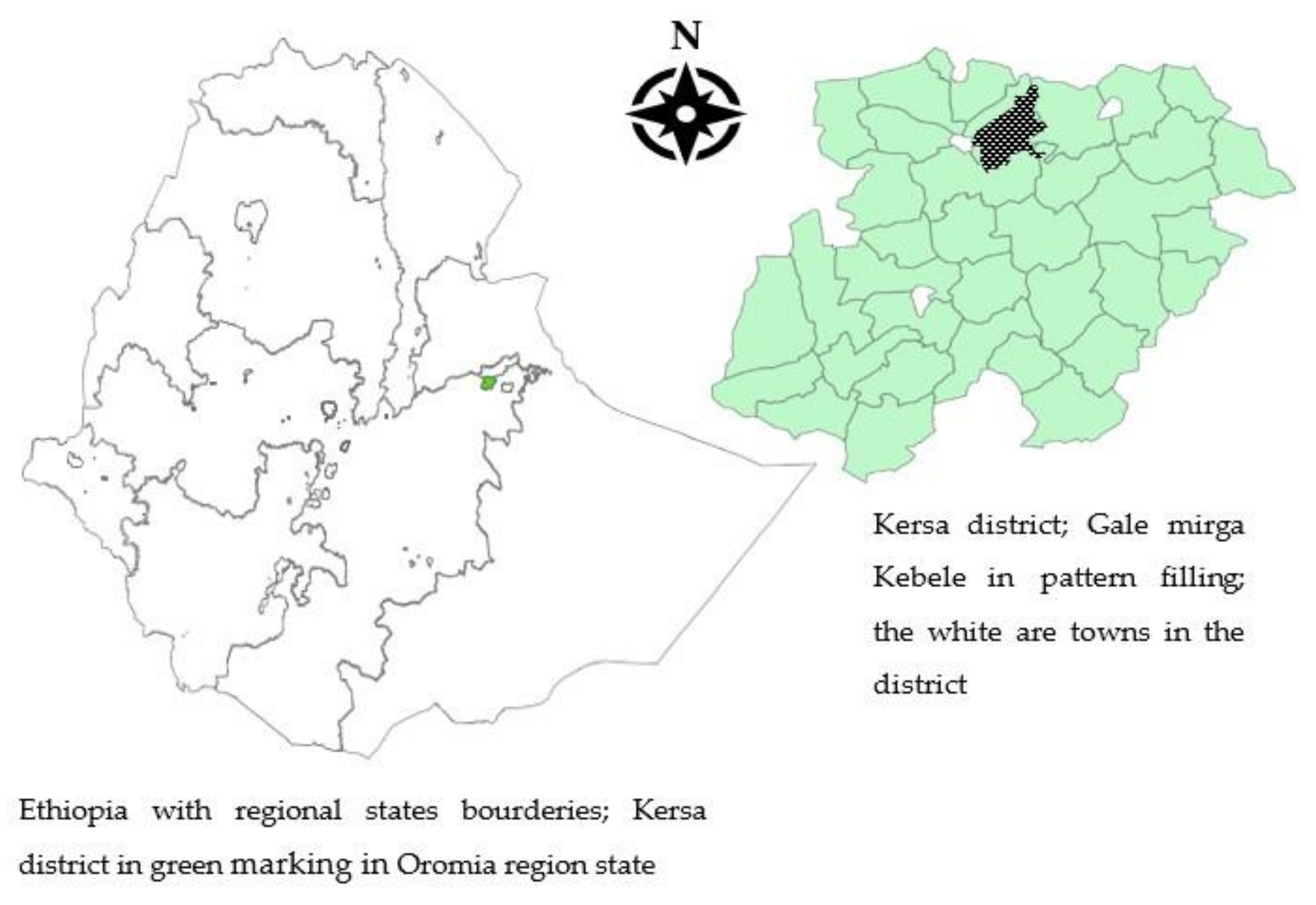 Ijerph 19 03937 g001 550