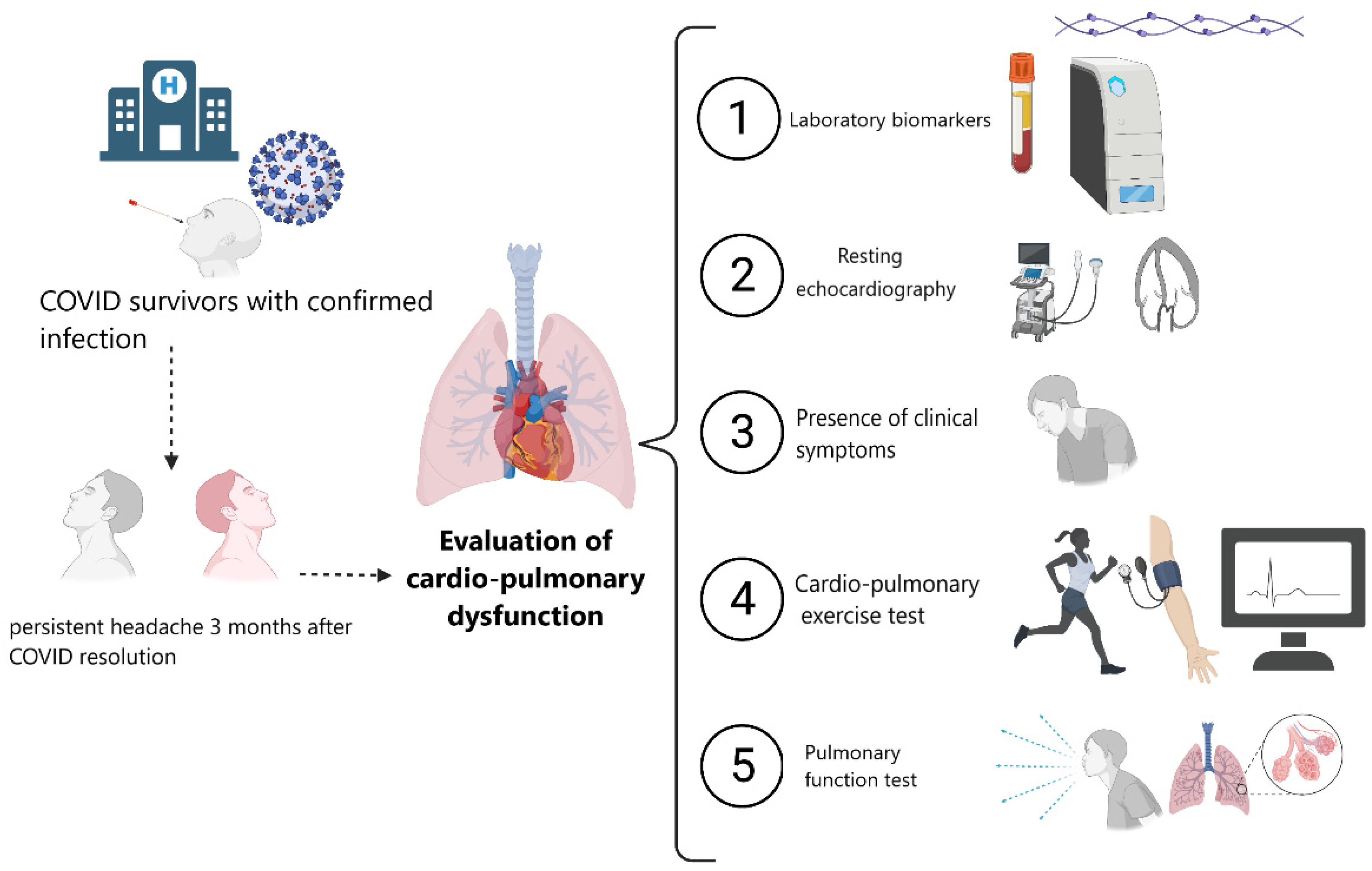 Ijerph 19 03961 g001 550