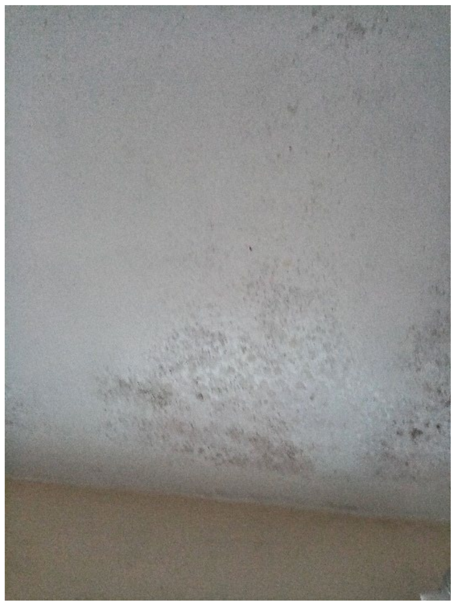 Ijerph 19 03976 g003 550