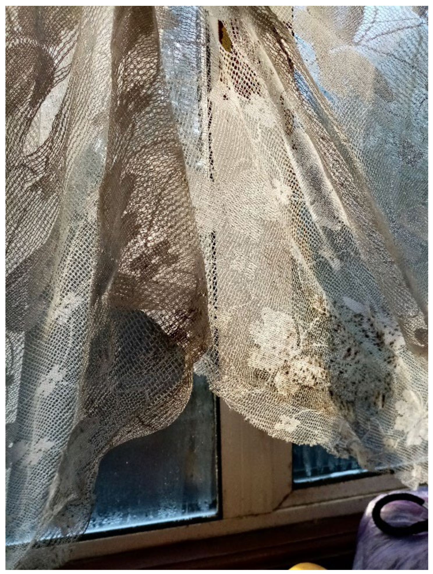 Ijerph 19 03976 g004 550