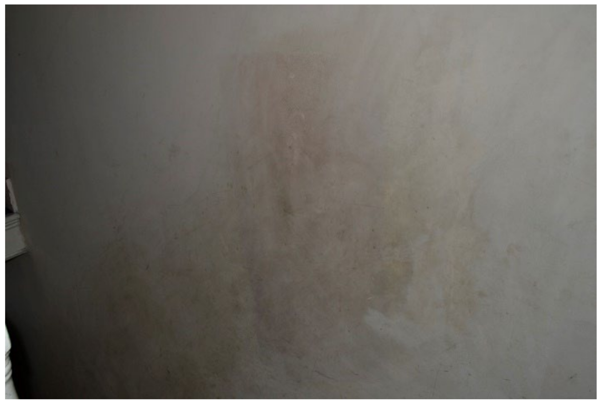 Ijerph 19 03976 g005 550