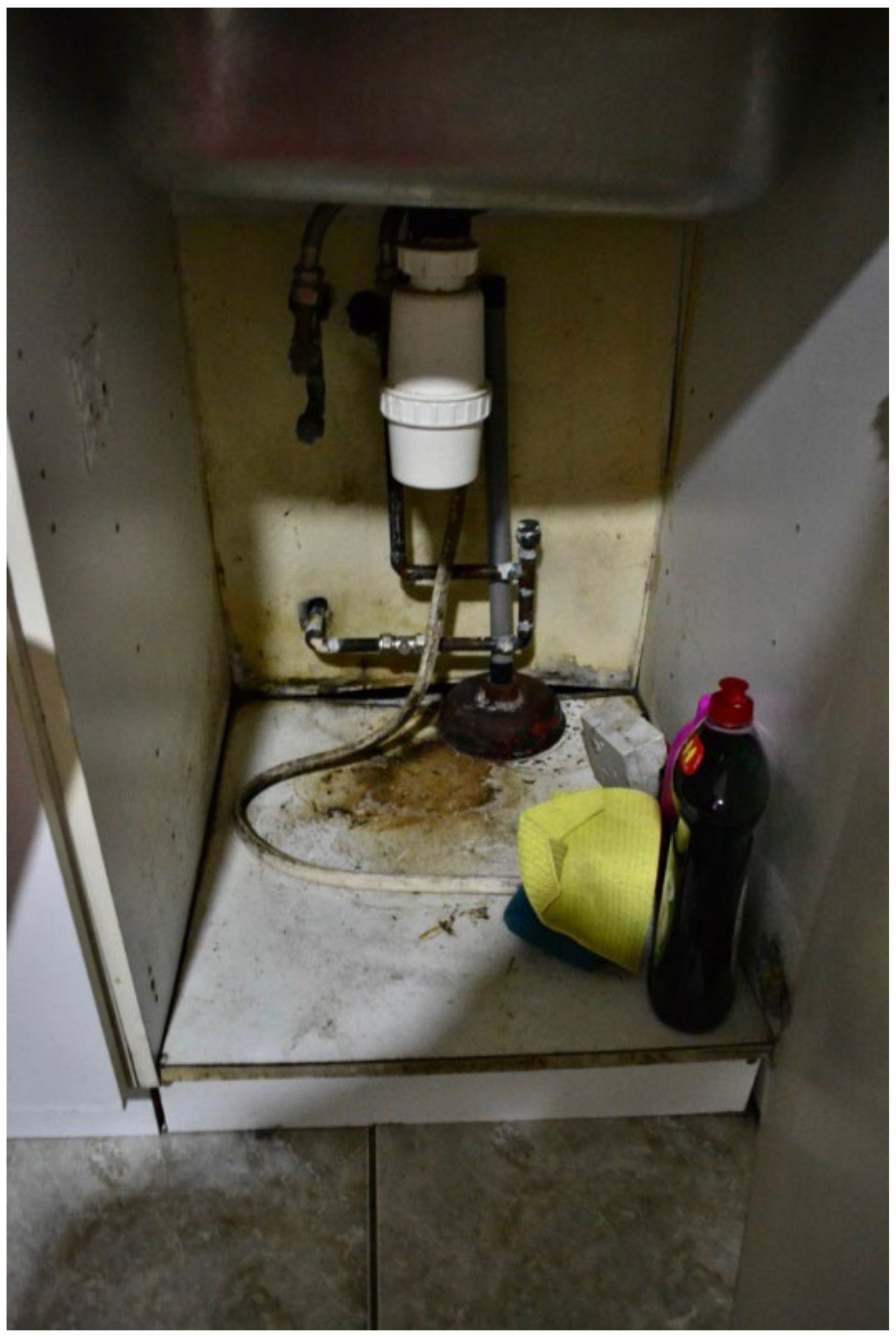 Ijerph 19 03976 g009 550